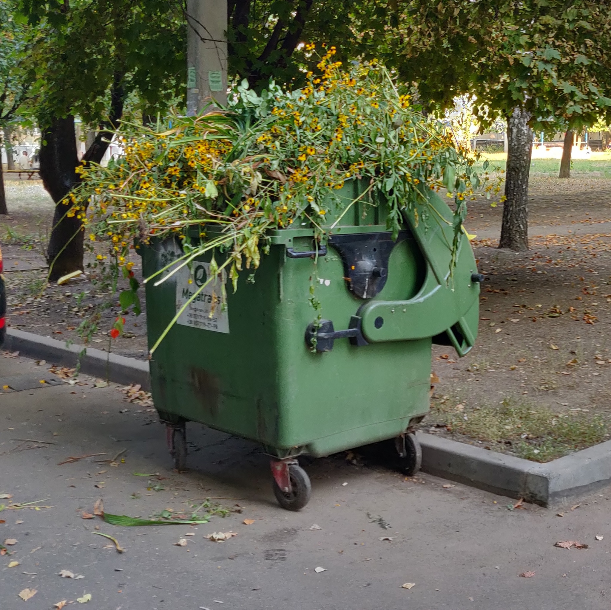 Garbage after September 1 - My, Teacher, Bouquet, September 1, Flowers, Trash can