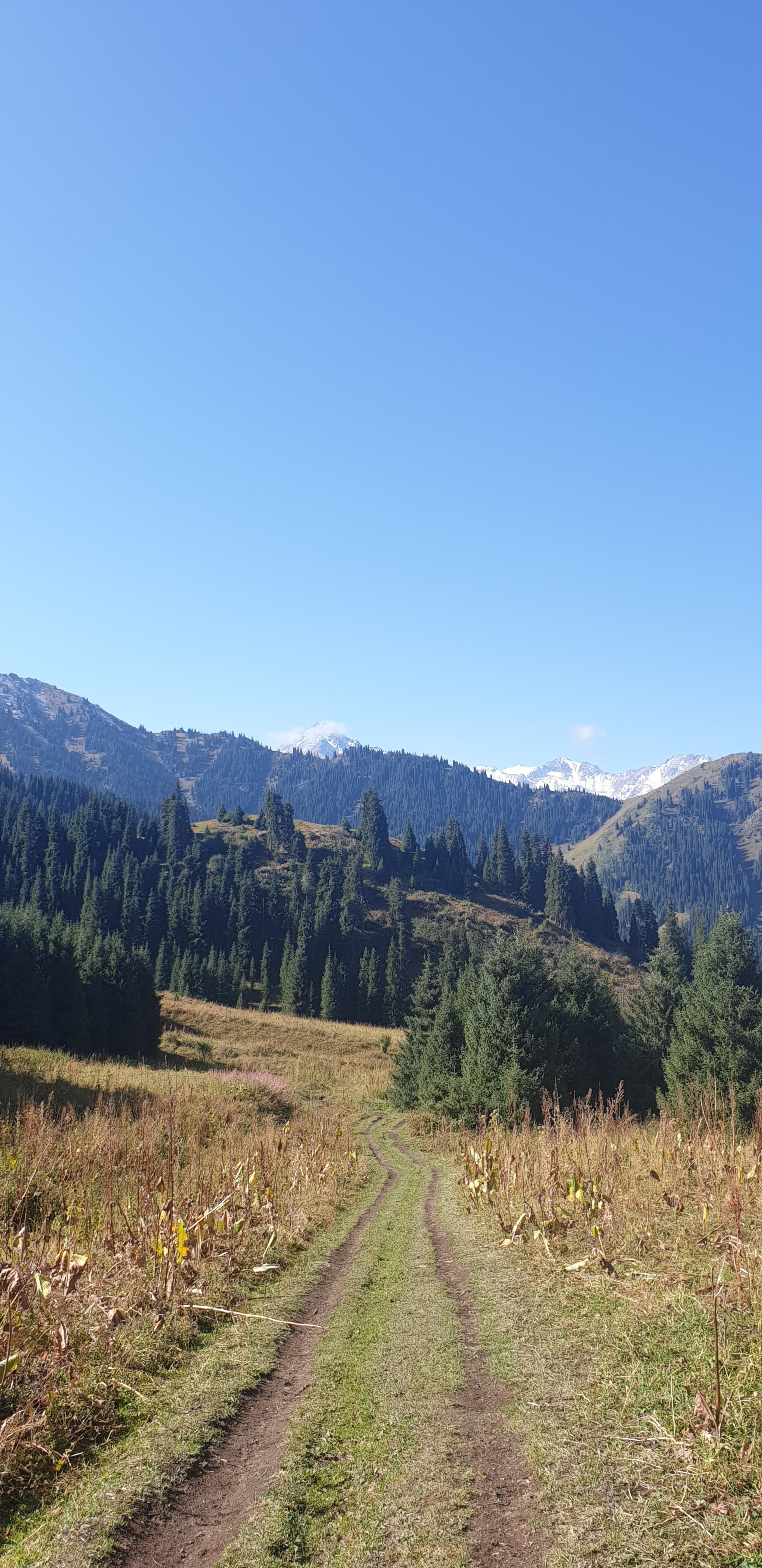 The mountains - My, Kazakhstan, Nature, Almaty mountains, The mountains, Longpost