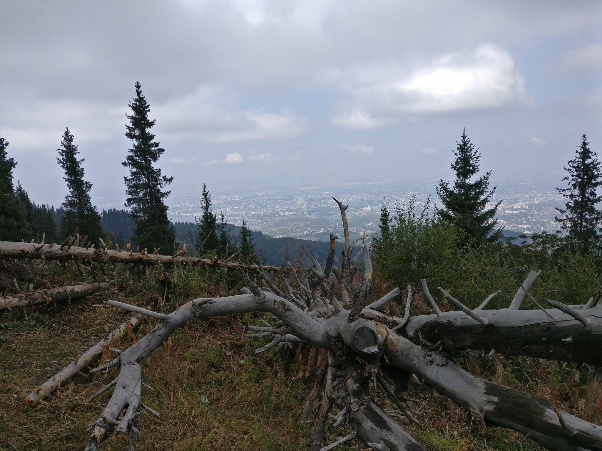 The mountains - My, Kazakhstan, Nature, Almaty mountains, The mountains, Longpost