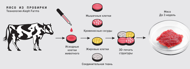 Невероятно, но... мясо: пища будущего - Мясо, Экология, Длиннопост