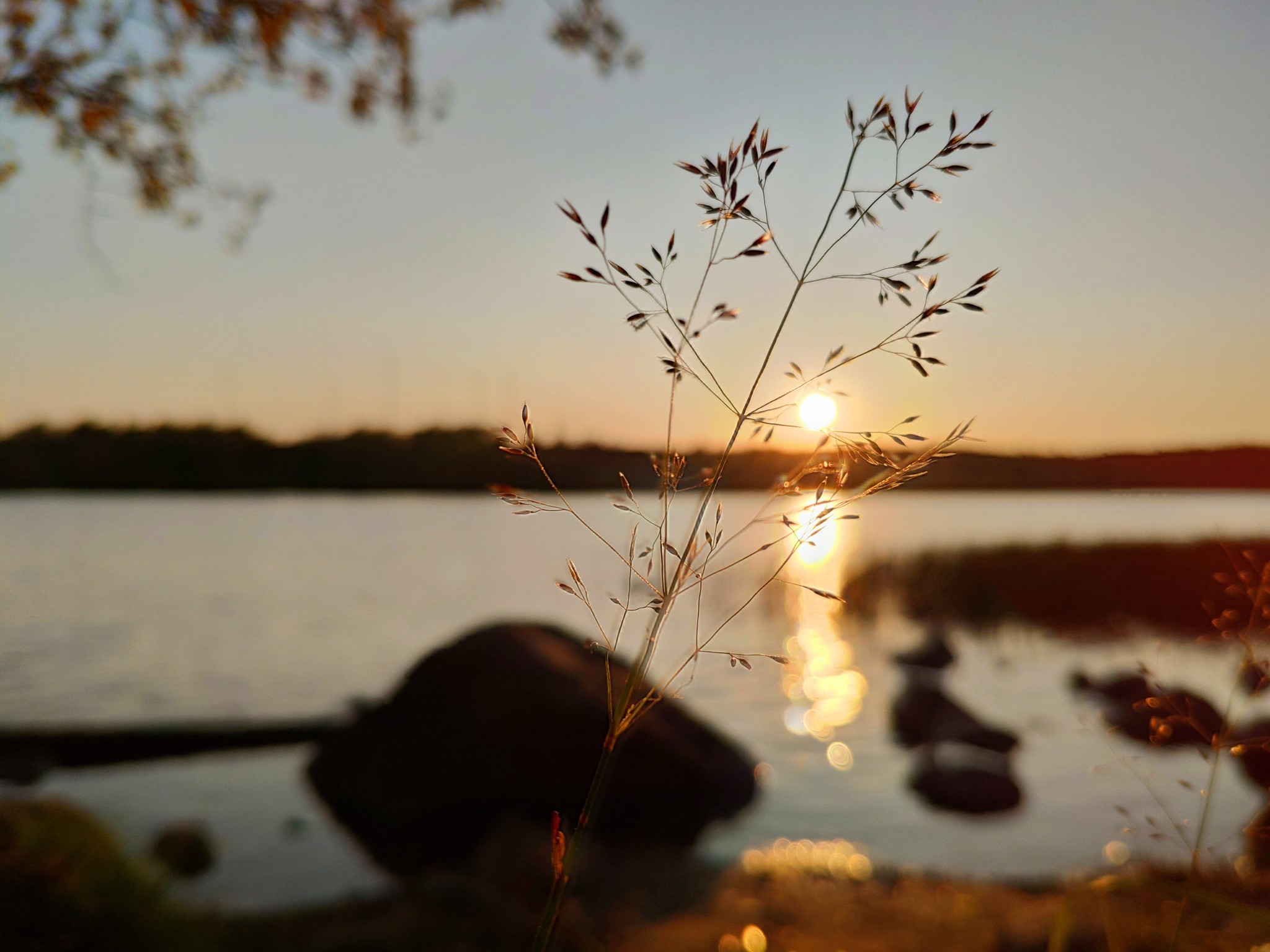 Golden autumn in the Arctic - My, Landscape, beauty of nature, Kola Peninsula, Murmansk, Longpost