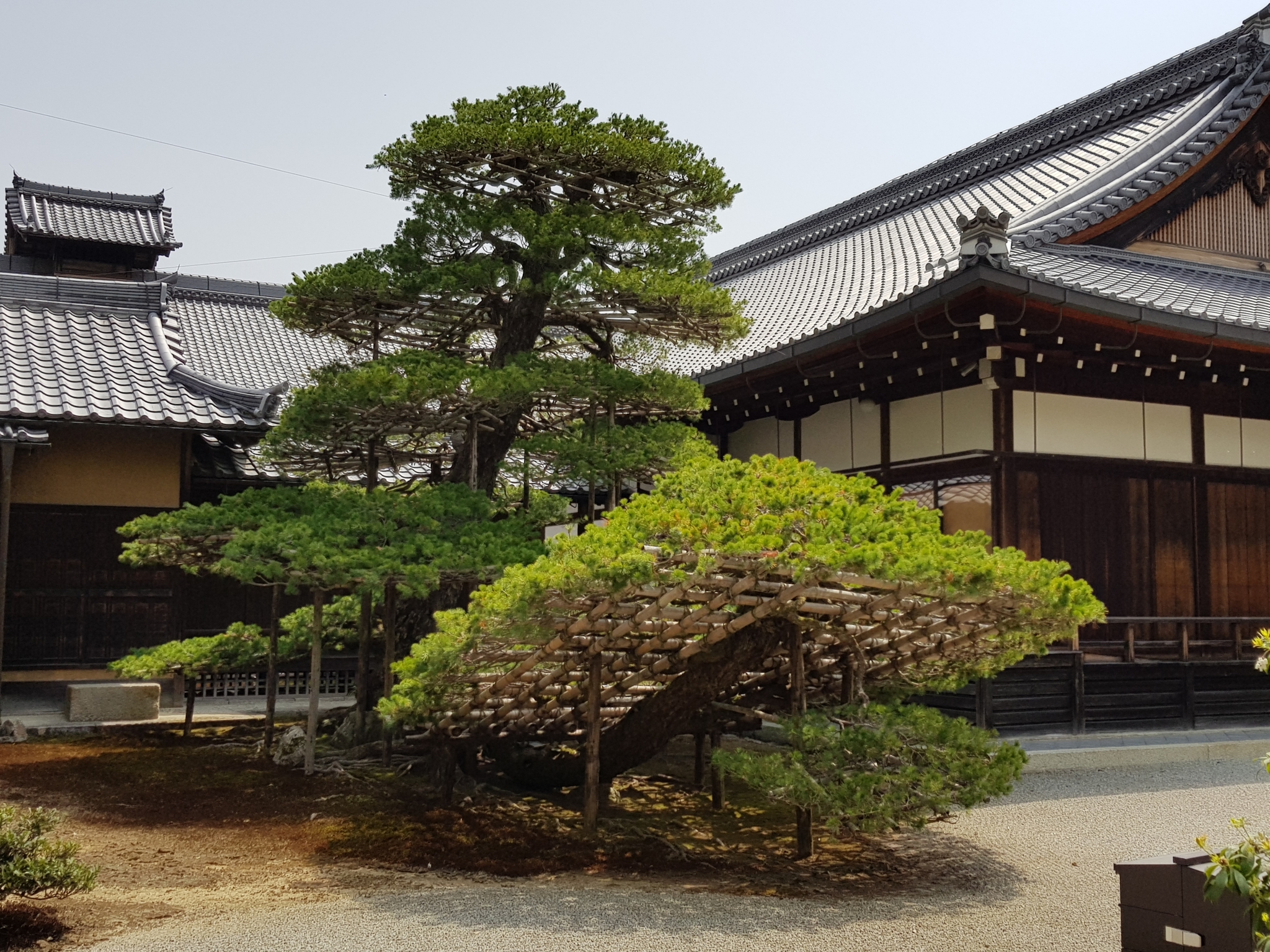 Japan through the eyes of a teapot - part 1 - My, Japan, Travels, The photo, Longpost