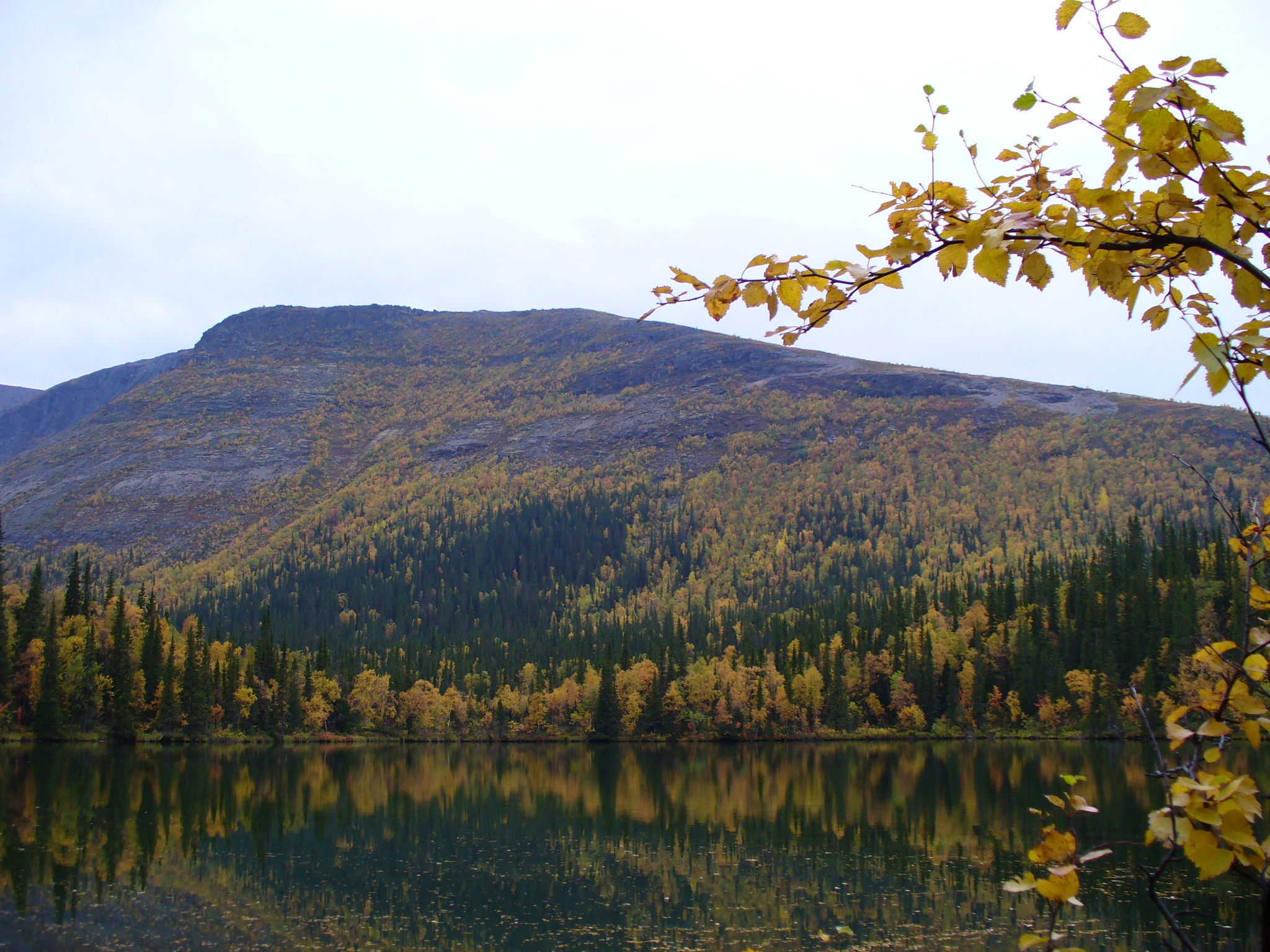 Around Seydozero - My, Without processing, Kola Peninsula, Longpost