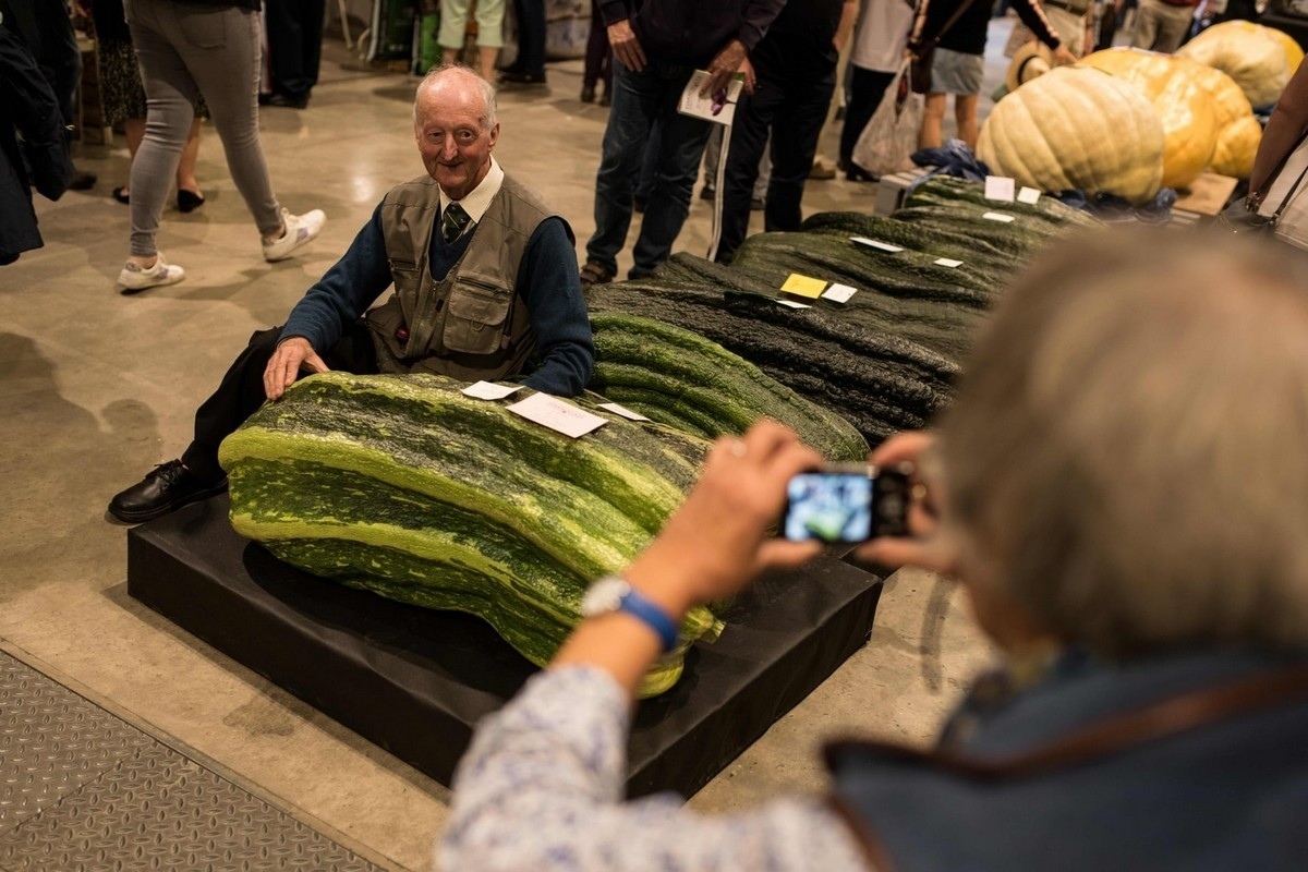 Grandpa with oh .... oh onion, he switched to zucchini - In contact with, Agriculture, Great Britain, Zucchini