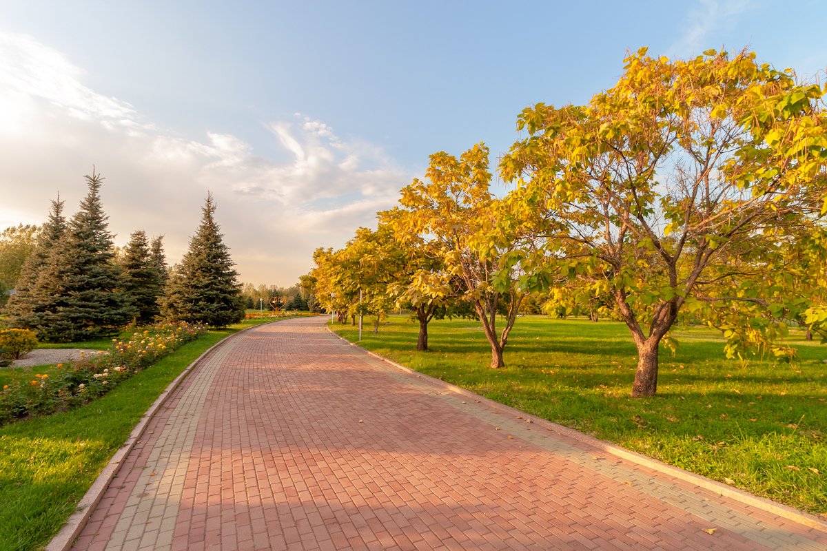 Evening in the autumn park. - My, Autumn, Almaty, Landscape, Evening, Canon, Longpost