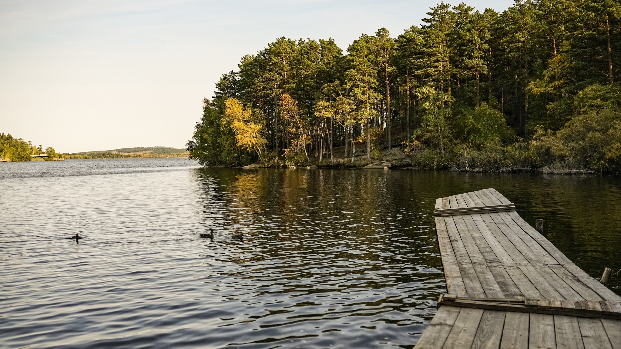 Lake Borovoye - My, Landscape, Kazakhstan