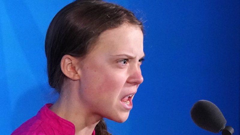 PIT - Greta Thunberg - Politics, Summit, UN, Video, GIF, Mat, Longpost, Greta Thunberg, Olga Misik