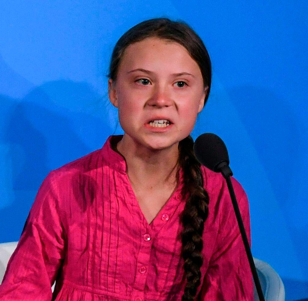 Greta: I should have been at school! - My, Greta Thunberg, School, Climate, Humor, GIF, Video, Longpost