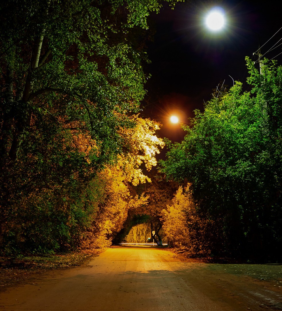 Night, street, lantern ... - My, Beginning photographer, Tobolsk, Night, Canon 70d