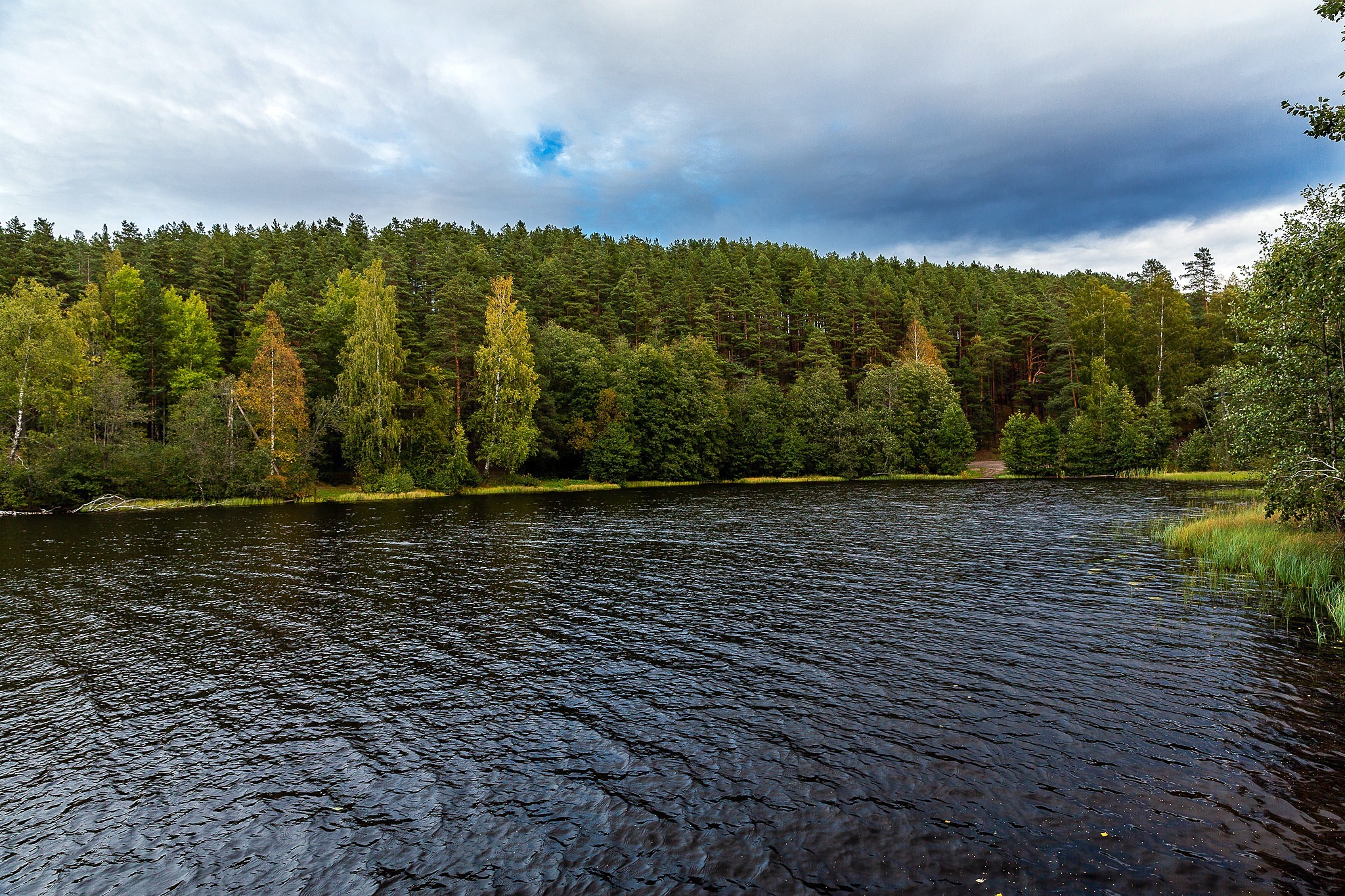 Business trip near St. Petersburg - My, Landscape, Leisure, Leningrad region, Lake, Forest, Longpost