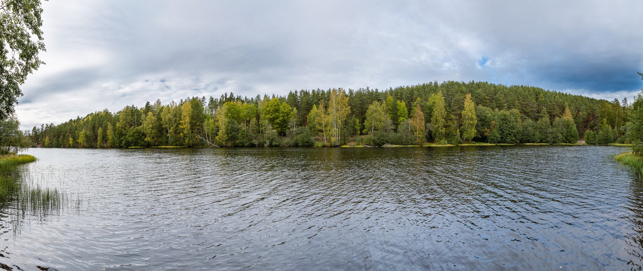 Business trip near St. Petersburg - My, Landscape, Leisure, Leningrad region, Lake, Forest, Longpost