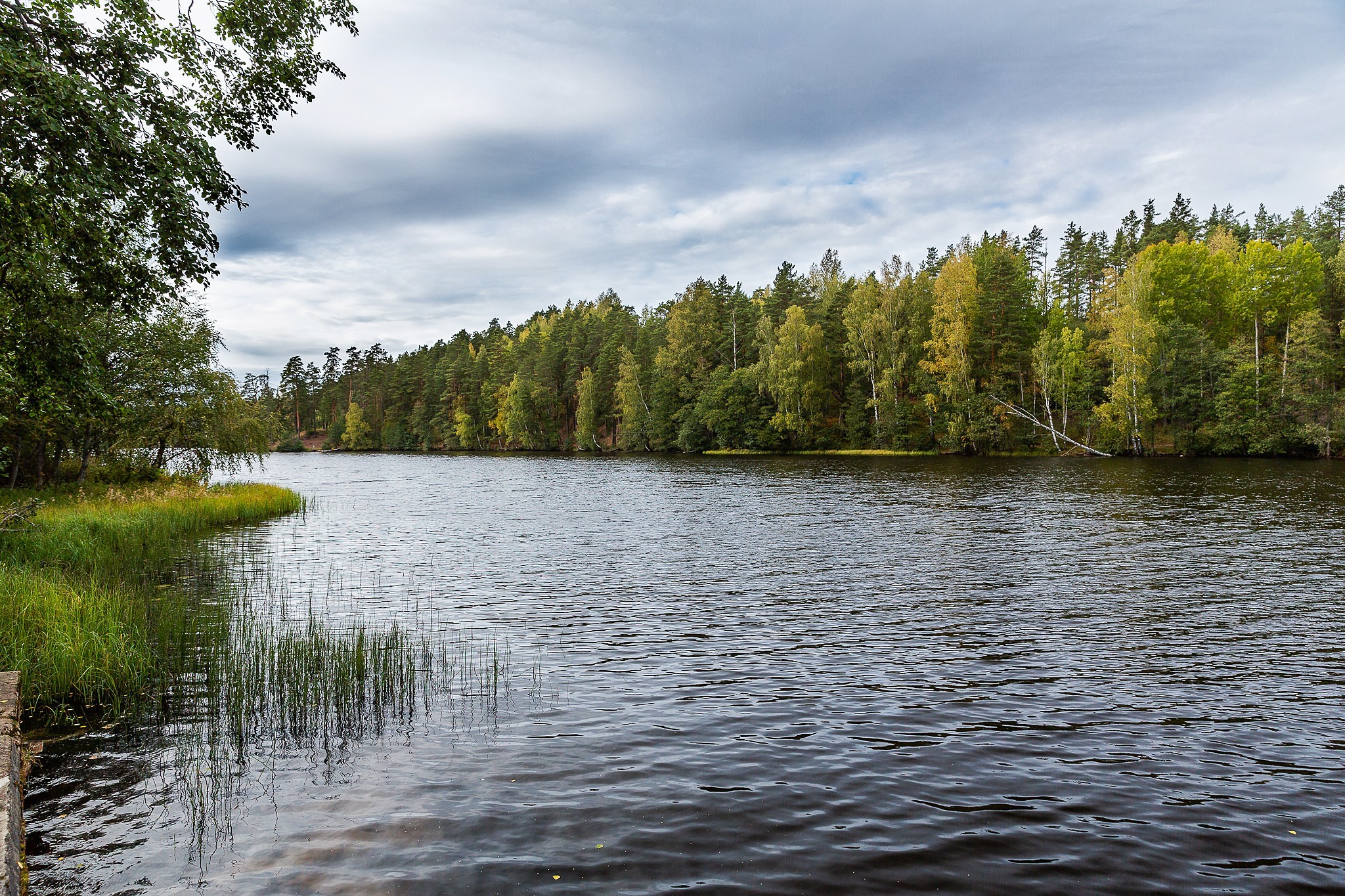 Business trip near St. Petersburg - My, Landscape, Leisure, Leningrad region, Lake, Forest, Longpost