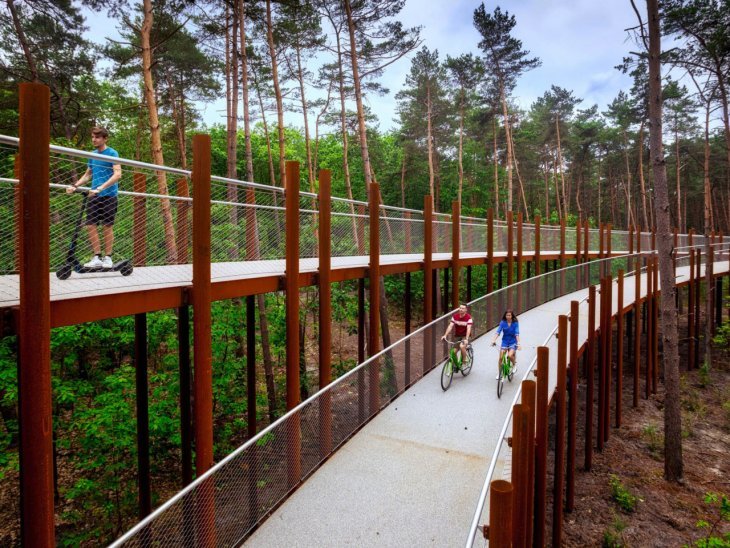 Unusual bike path in the middle of the forest in Belgium - Belgium, Bike path, Video, Longpost