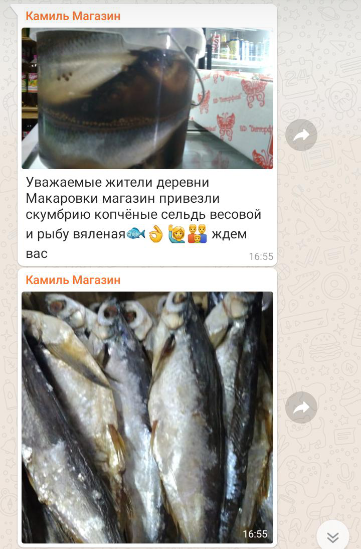 Типичные будни деревенского чата - Моё, Деревня, Чат, Whatsapp, Типичные будни, Длиннопост