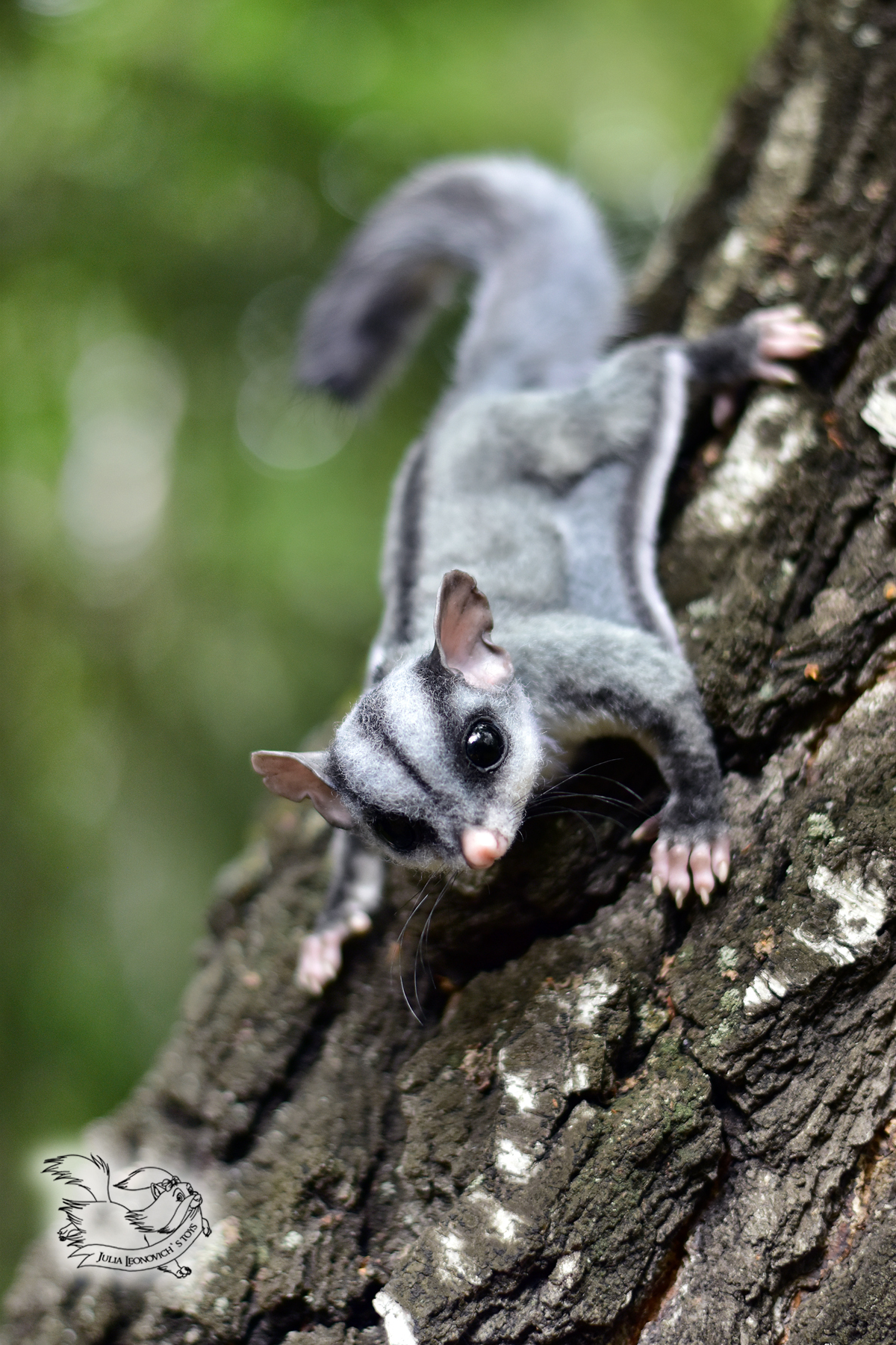 sugar possum toy - My, Sugar Possum, Possum, Mixed media, Author's toy, Handmade, Needlework without process, Animals, Longpost