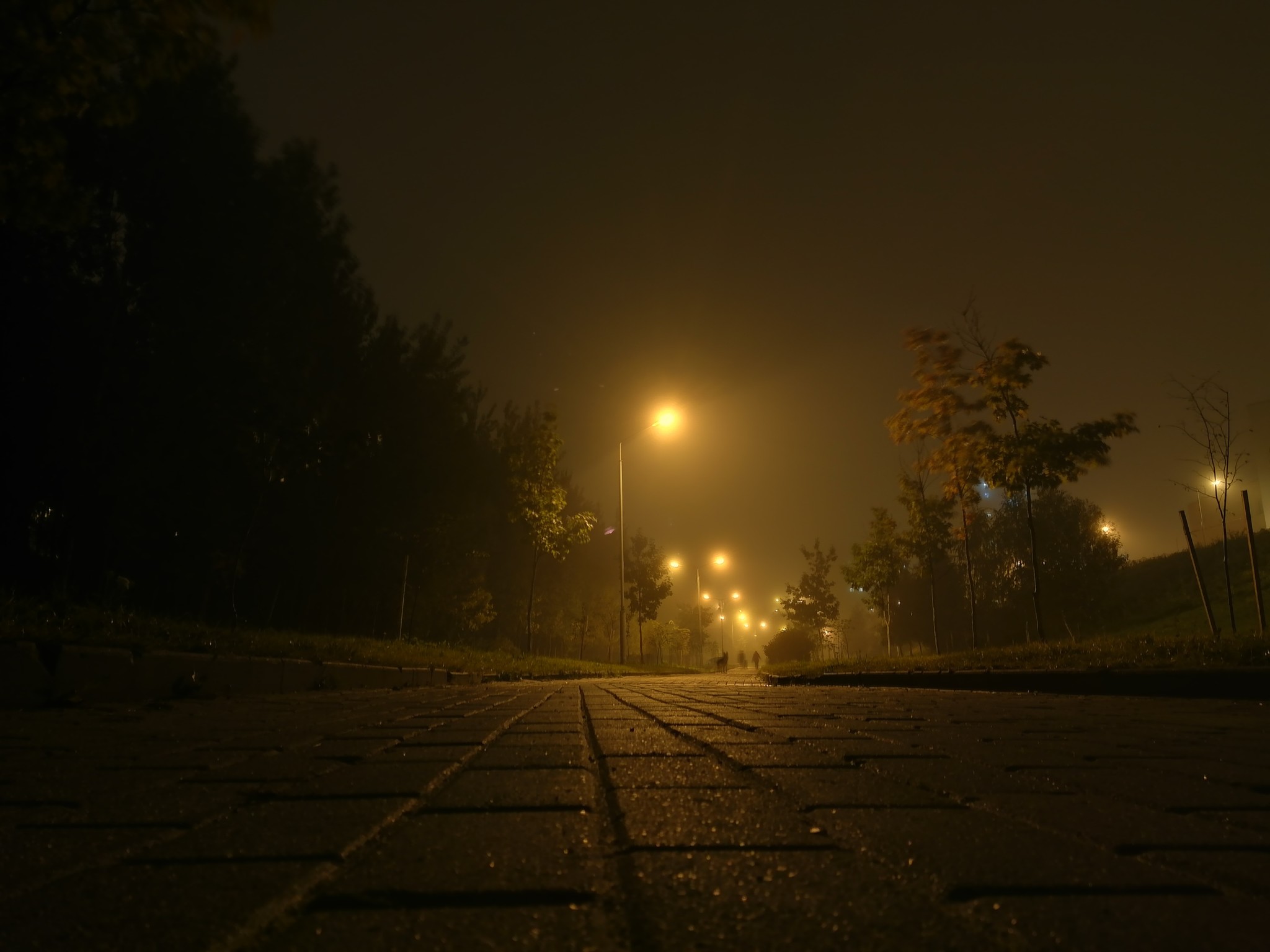 Foggy Minsk. - My, Minsk, Autumn, The photo, Fog, Night, Mood, Longpost