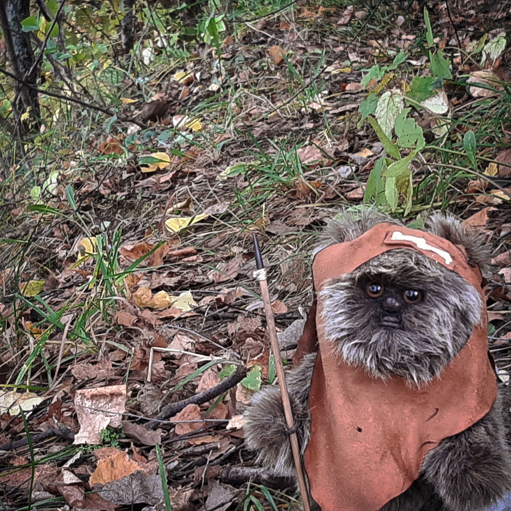 Hand Ewok - My, Needlework without process, Star Wars, Handmade, Autumn, Longpost, Soft toy, Ewoks