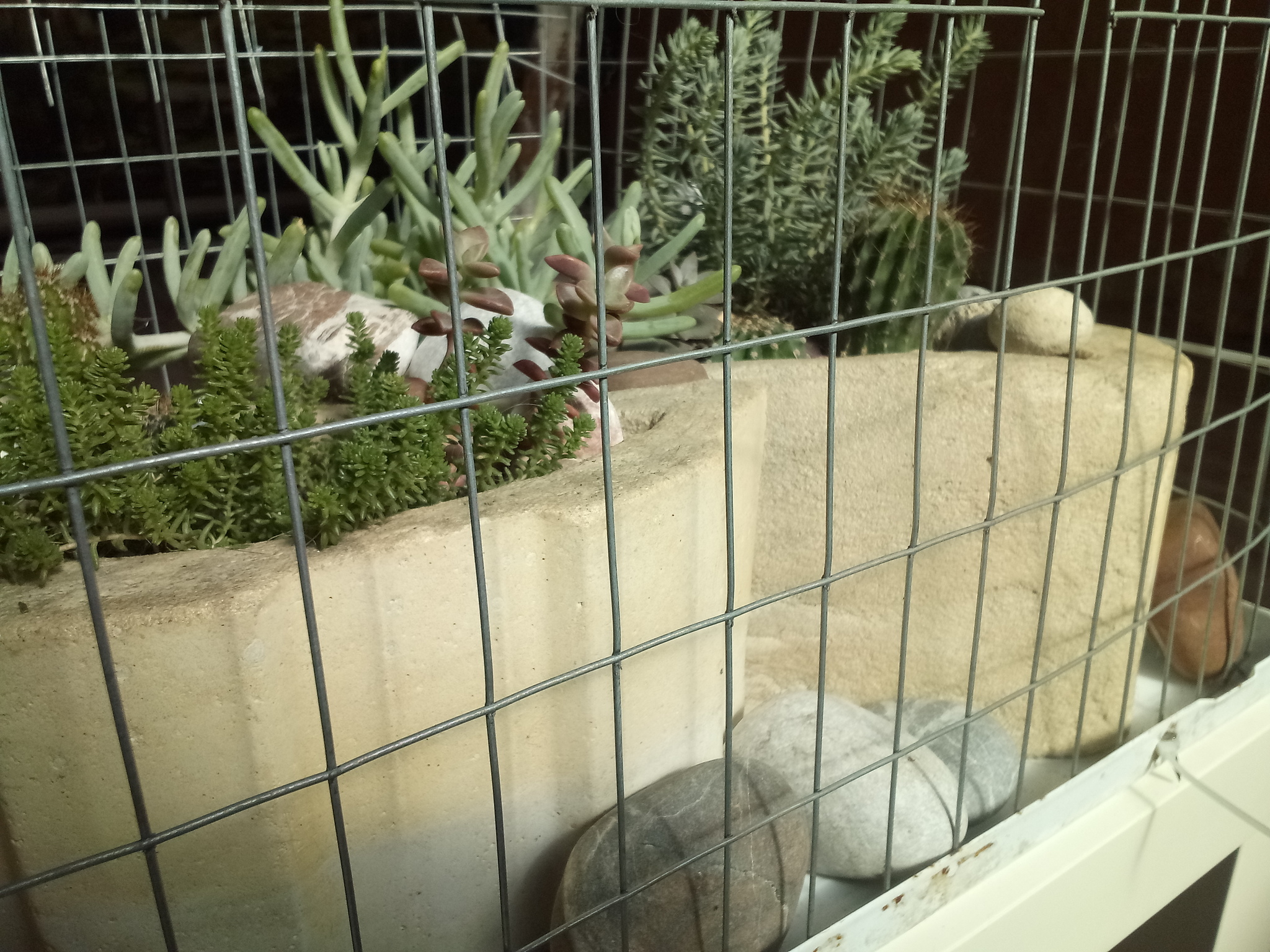 Large cement pots, continuing the theme - My, Needlework, Flowers, Enthusiasm, Longpost