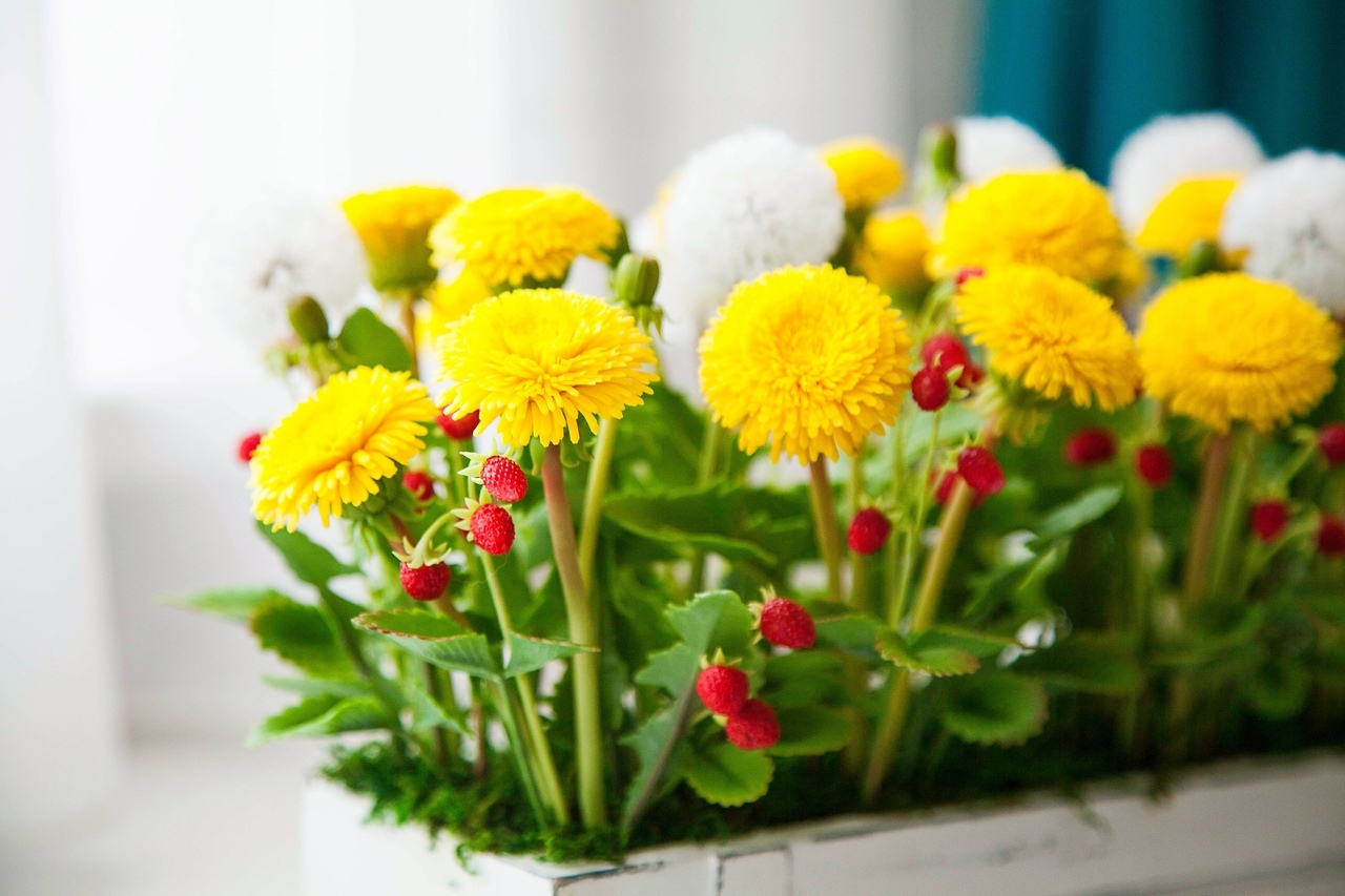 Dandelions and strawberries from cold porcelain - My, Polymer clay, Polymer floristry, With your own hands, Needlework without process