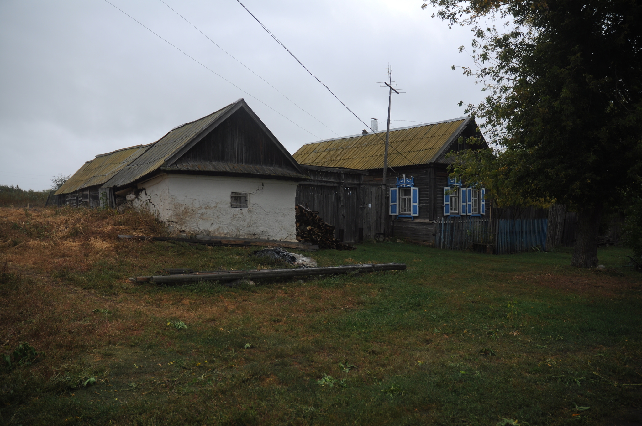 Поповка под Хвалынском. Дом со львом. | Пикабу