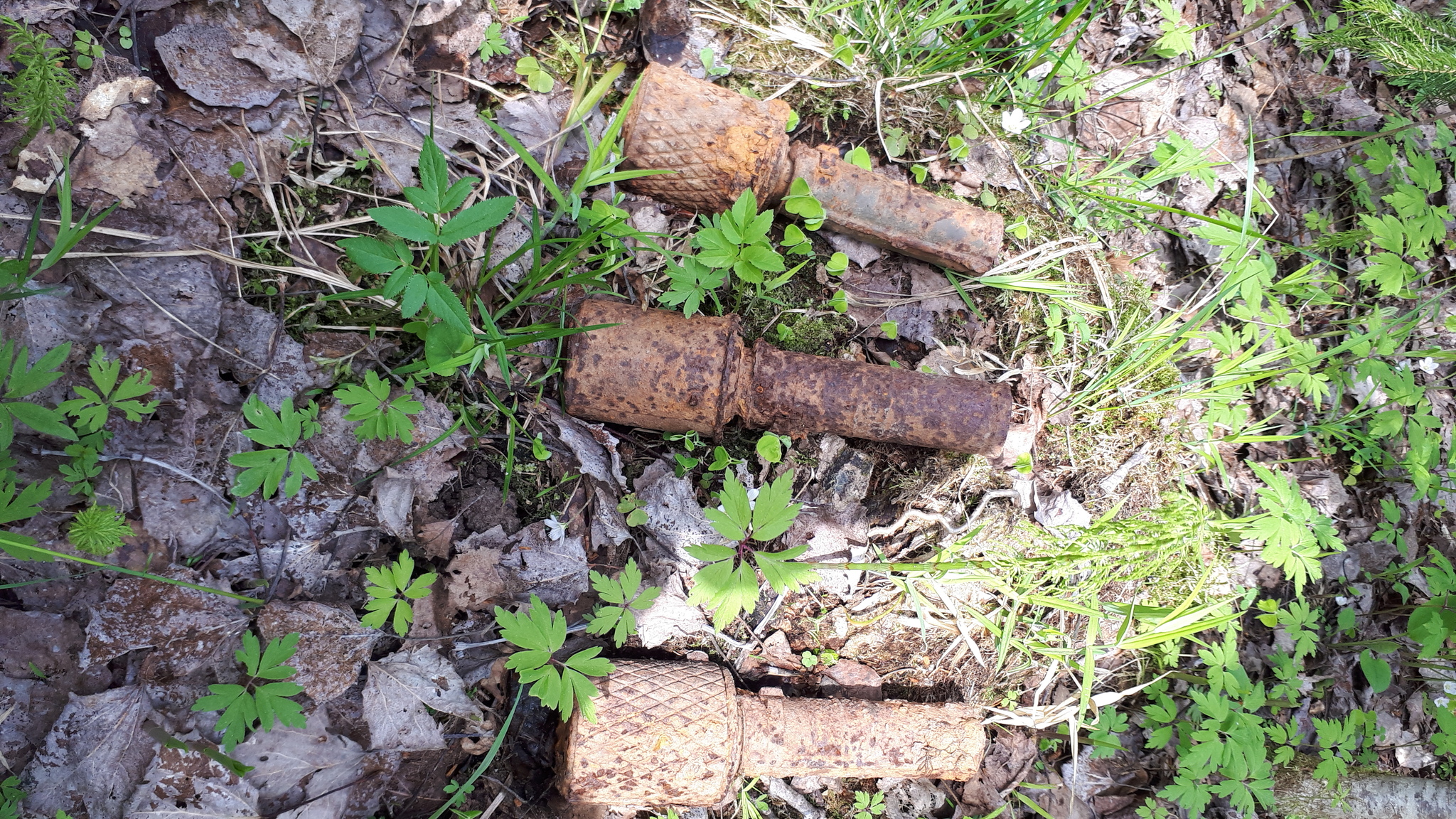 Walking in the autumn forest with a metal detector - My, Hobby, Treasure hunter, Longpost, Treasure hunt