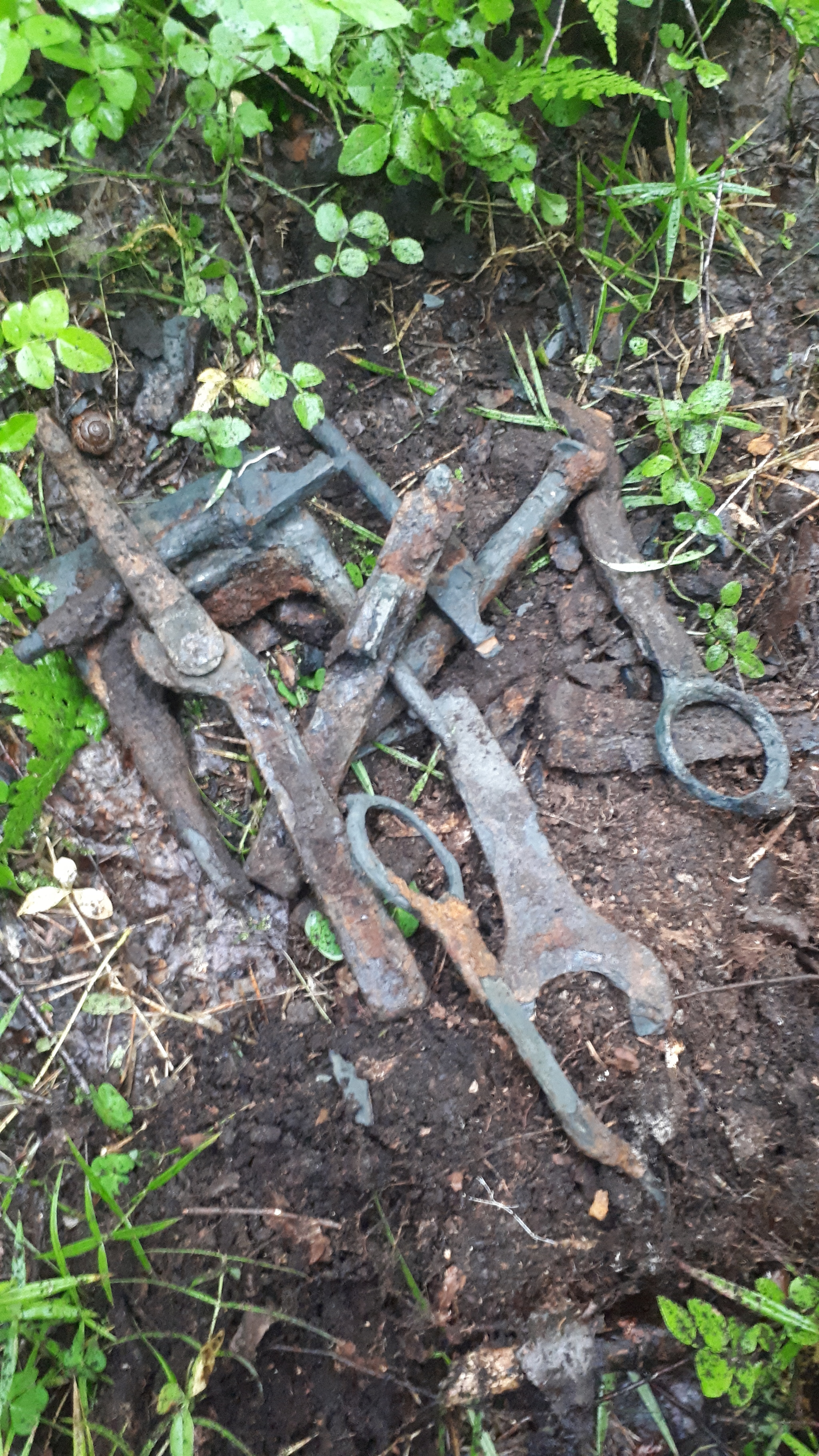 Walking in the autumn forest with a metal detector - My, Hobby, Treasure hunter, Longpost, Treasure hunt