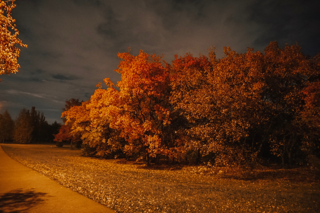 Such an autumn - My, Autumn, Nature, The photo, Longpost