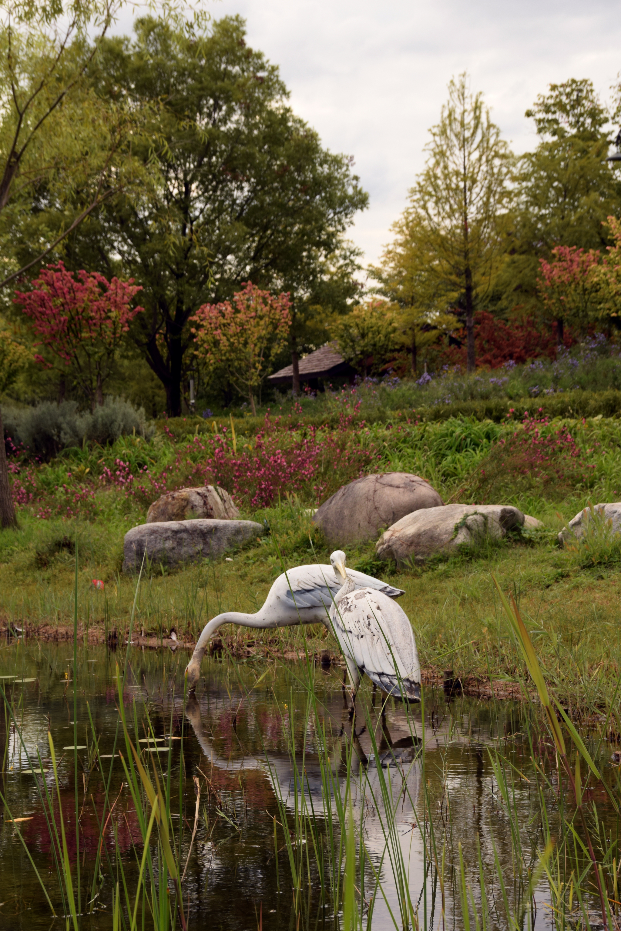 Walk through the Hanbat Arboretum - My, Garden, Arboretum, South Korea, Plants, The photo, Beginning photographer, Longpost