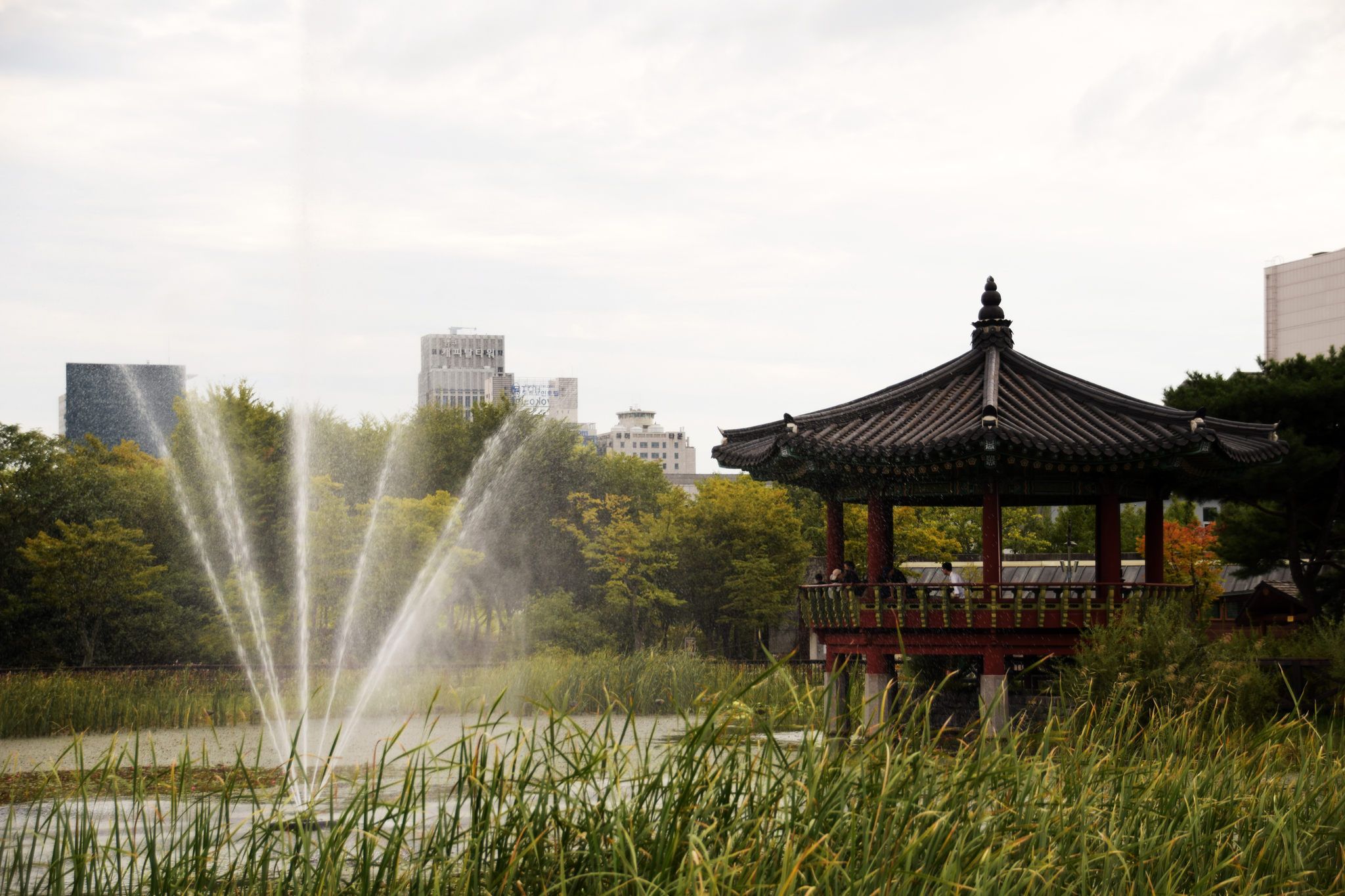 Walk through the Hanbat Arboretum - My, Garden, Arboretum, South Korea, Plants, The photo, Beginning photographer, Longpost