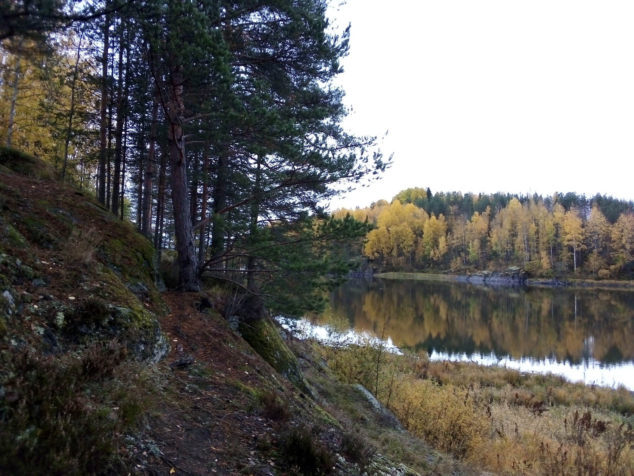 Autumn Karelia - My, Autumn, Republic of Karelia, Ladoga lake, Longpost, The photo, Nature, Карелия