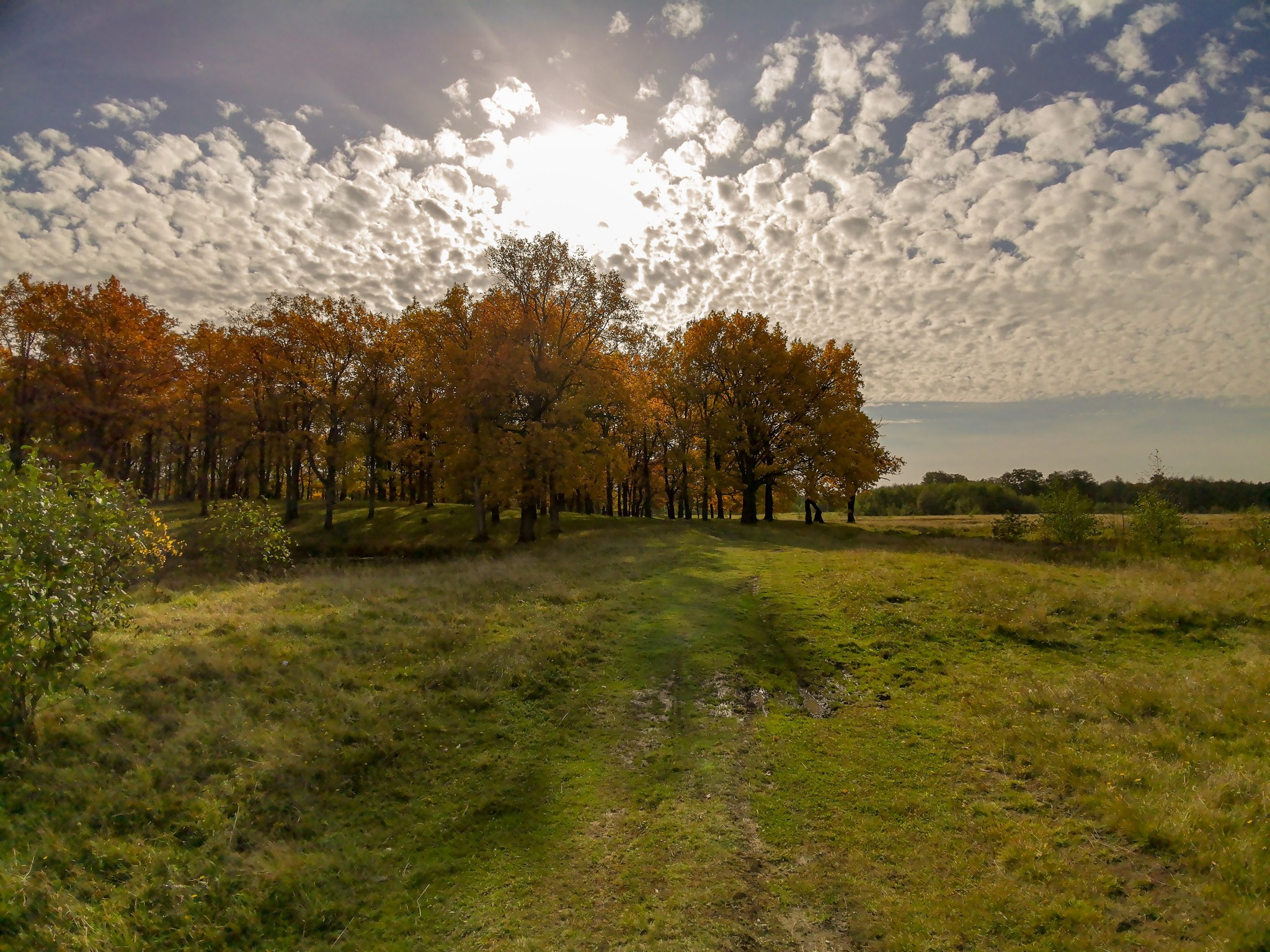 Autumn sketches - My, Dzerzhinsk, Mobile photography, Nature, Autumn, Longpost, What is autumn, Video, A bike