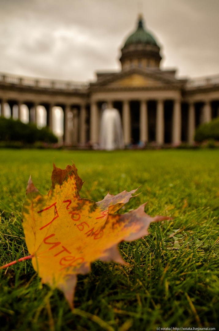 And in St. Petersburg autumn ... - My, Saint Petersburg, The photo, Town, Walk, Beginning photographer, Megapolis, Longpost