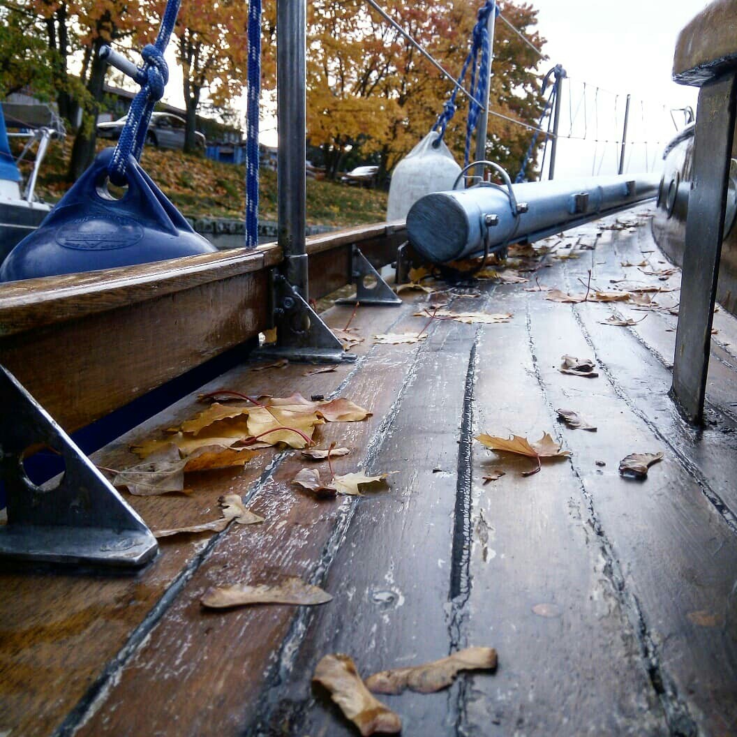 Autumn in St. Petersburg. - My, Autumn, Yacht, Longpost