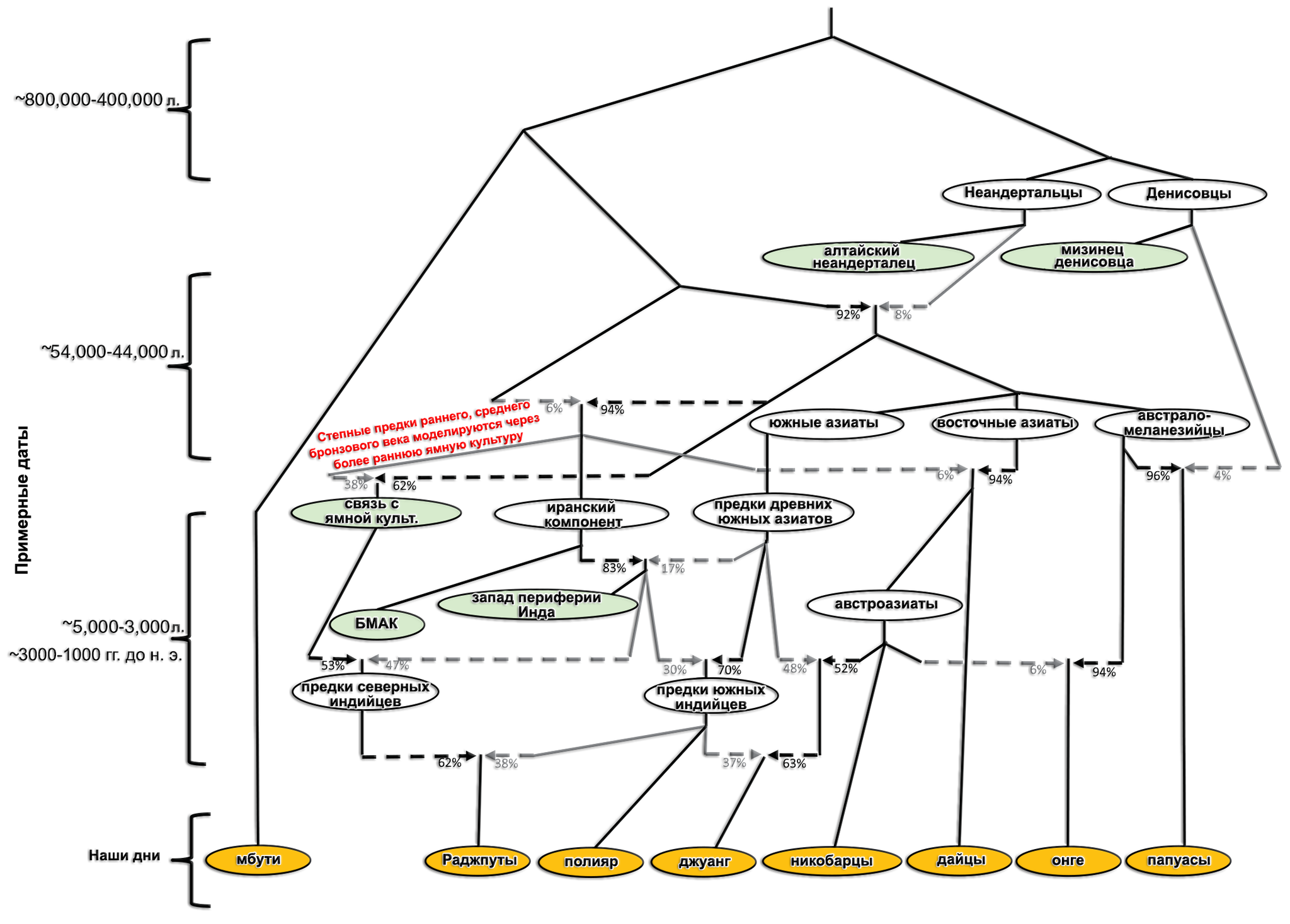 Population history of Central and South Asia according to ancient DNA - My, The science, Story, Population genetics, India, Southern Asia, Central Asia, Video, Longpost, Indo-Europeans, GIF