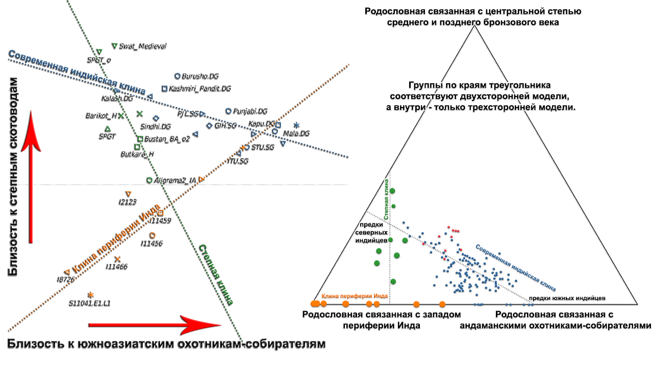 Population history of Central and South Asia according to ancient DNA - My, The science, Story, Population genetics, India, Southern Asia, Central Asia, Video, Longpost, Indo-Europeans, GIF