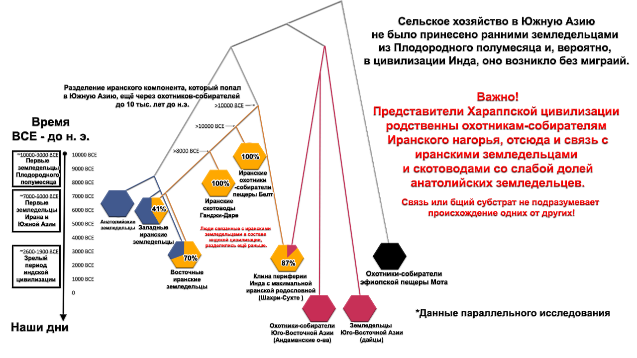 Population history of Central and South Asia according to ancient DNA - My, The science, Story, Population genetics, India, Southern Asia, Central Asia, Video, Longpost, Indo-Europeans, GIF