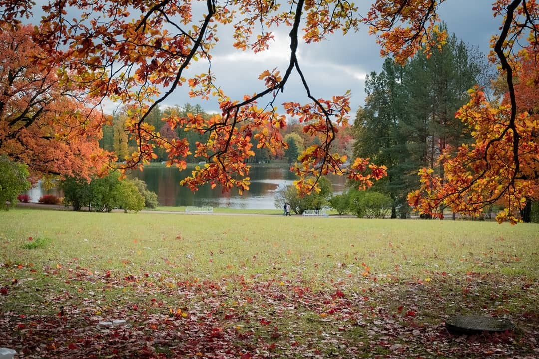 We must go rustling until everything is blown away! - My, Autumn, Catherine Park, Pushkin, The photo, Longpost