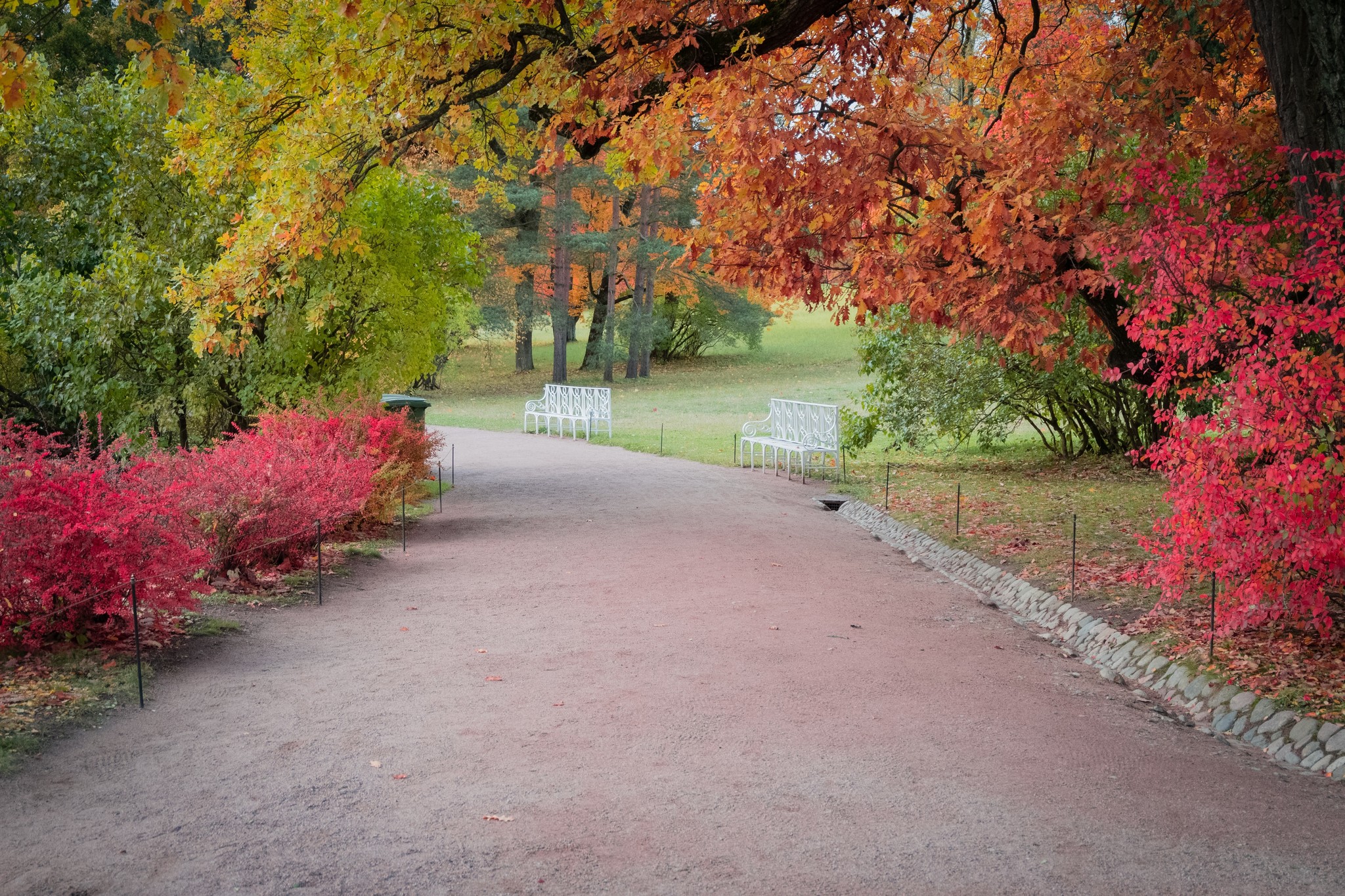 We must go rustling until everything is blown away! - My, Autumn, Catherine Park, Pushkin, The photo, Longpost