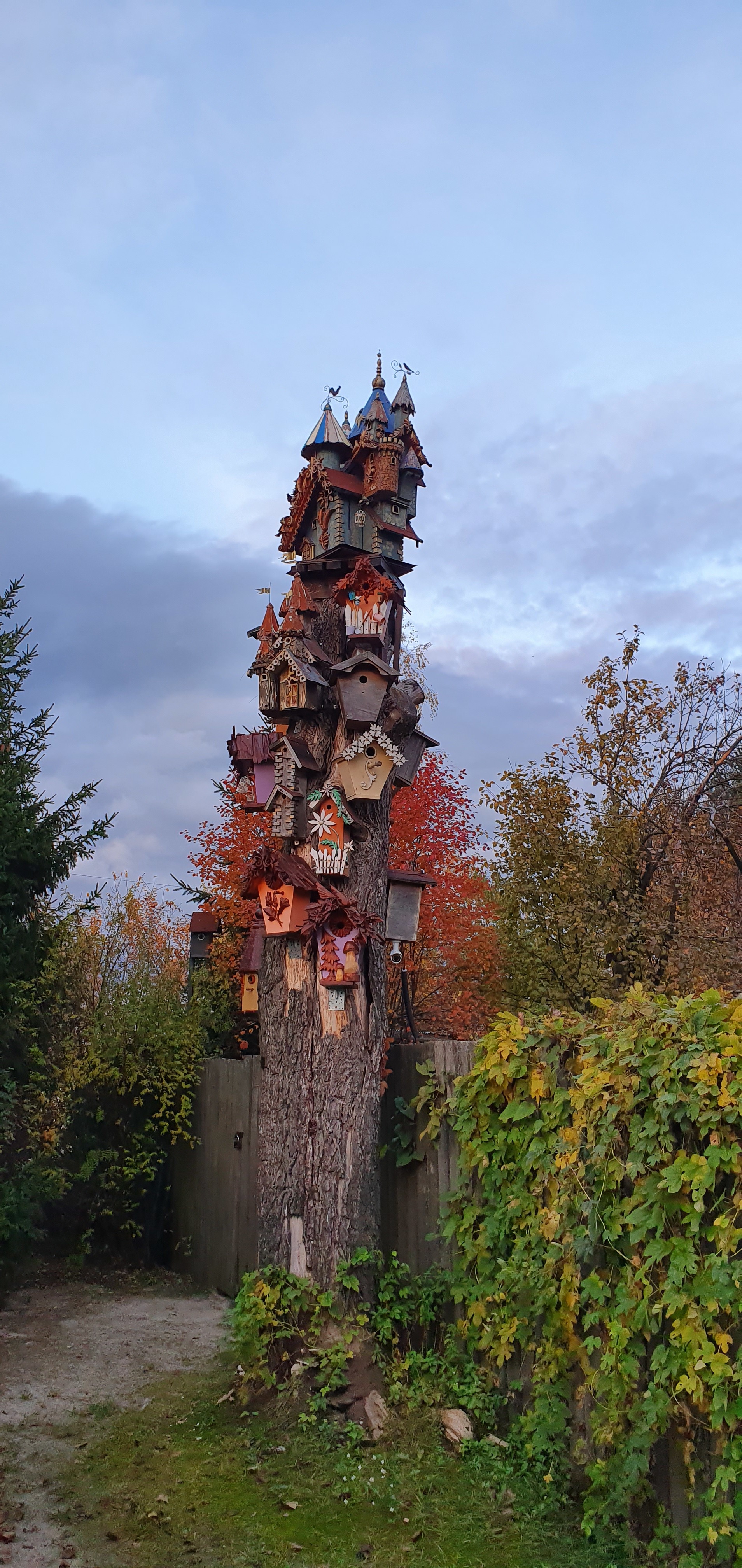 I freaked out ... - My, Birdhouse, Beautiful, Moscow region, Longpost