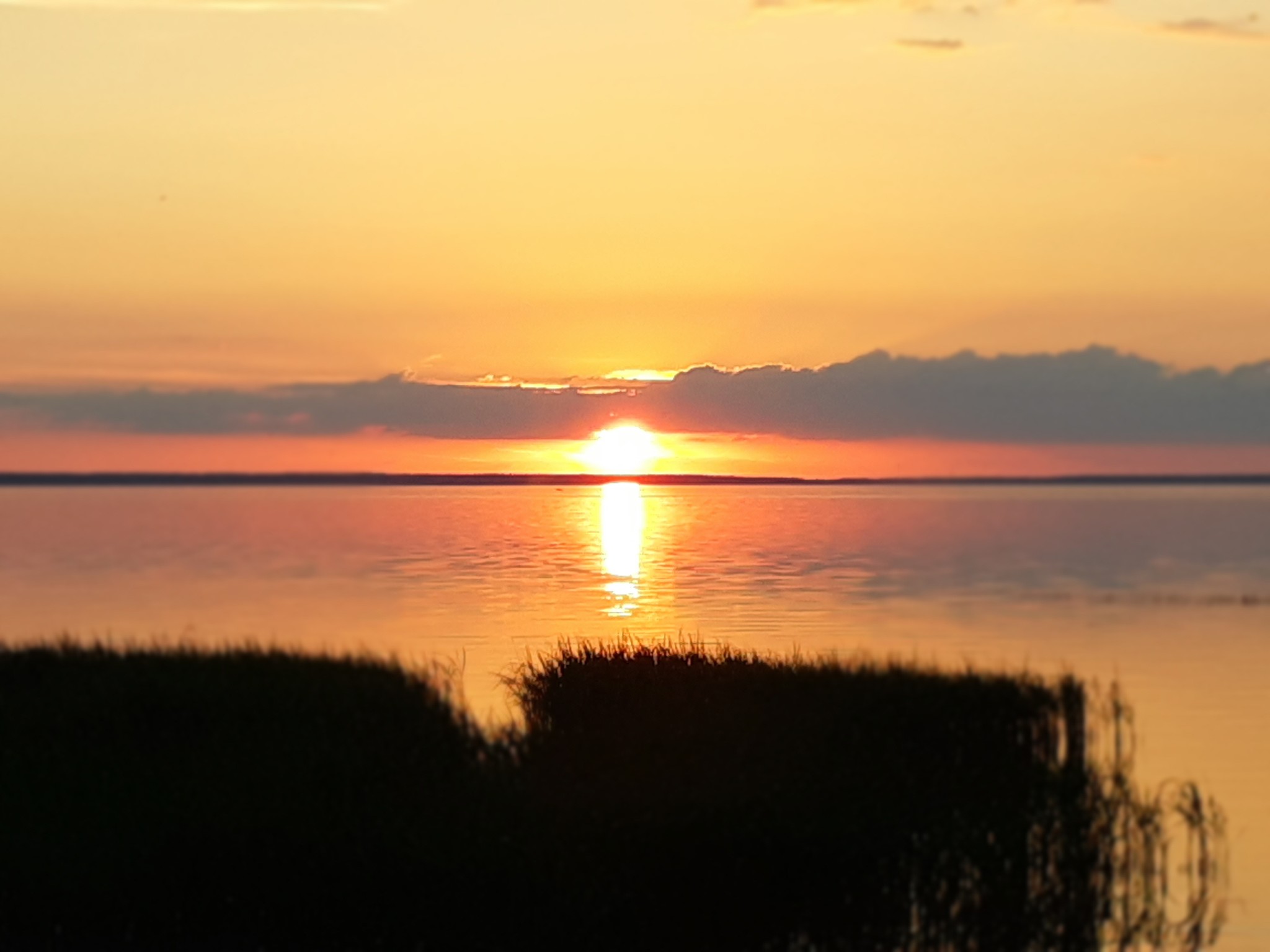 Lake Pleshcheyevo - My, Pleshcheevo Lake, Nature, Sunset, Lake, Sky, The photo, No filters, Longpost