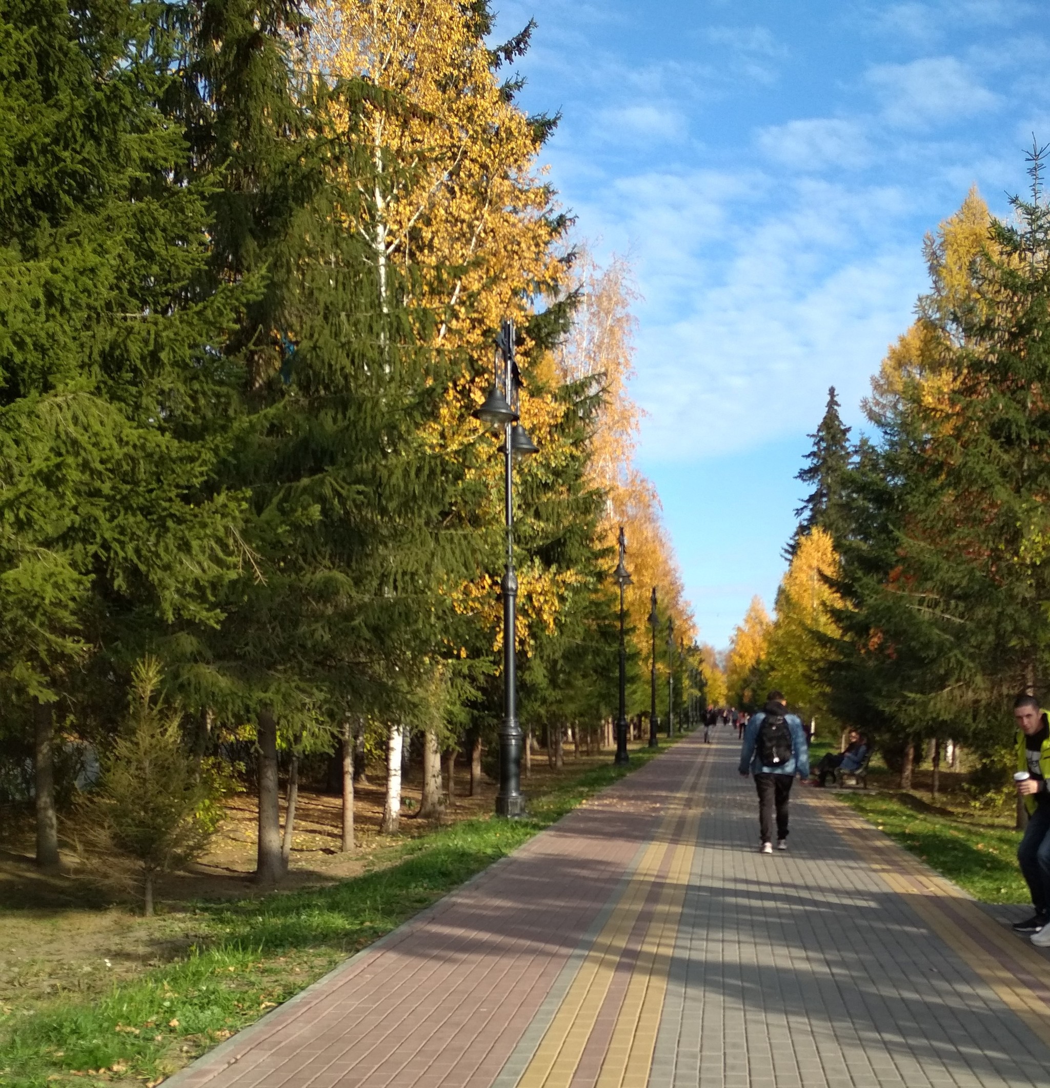 Golden autumn in Tomsk - My, Tomsk, Autumn, City center, Longpost