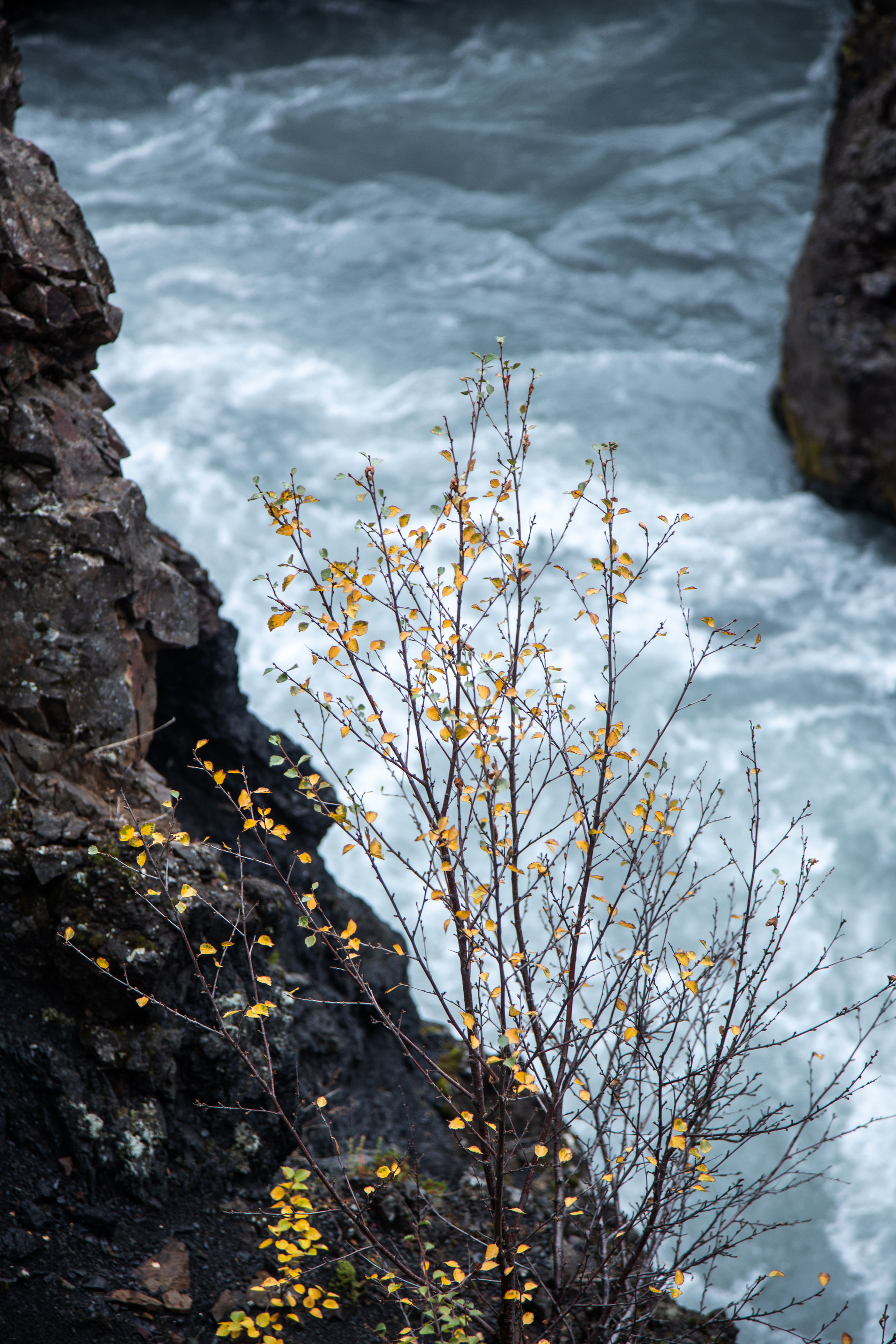 Official wedding in Iceland. Part 2: Travel, waterfalls, ceremony. - My, Iceland, Wedding, Souvenirs, Tourism, Longpost