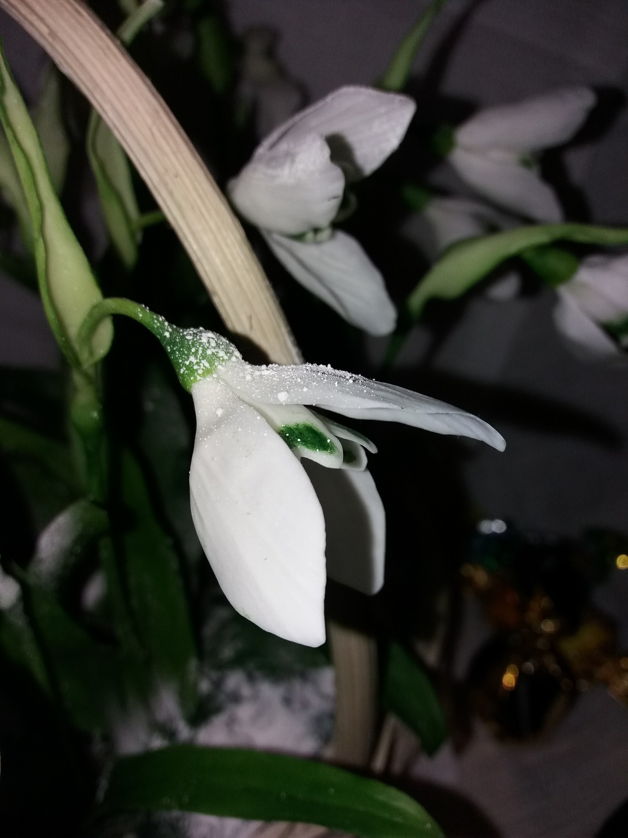 A few snowdrops. - My, Snowdrops, Cold porcelain, Longpost, Needlework without process, Snowdrops flowers