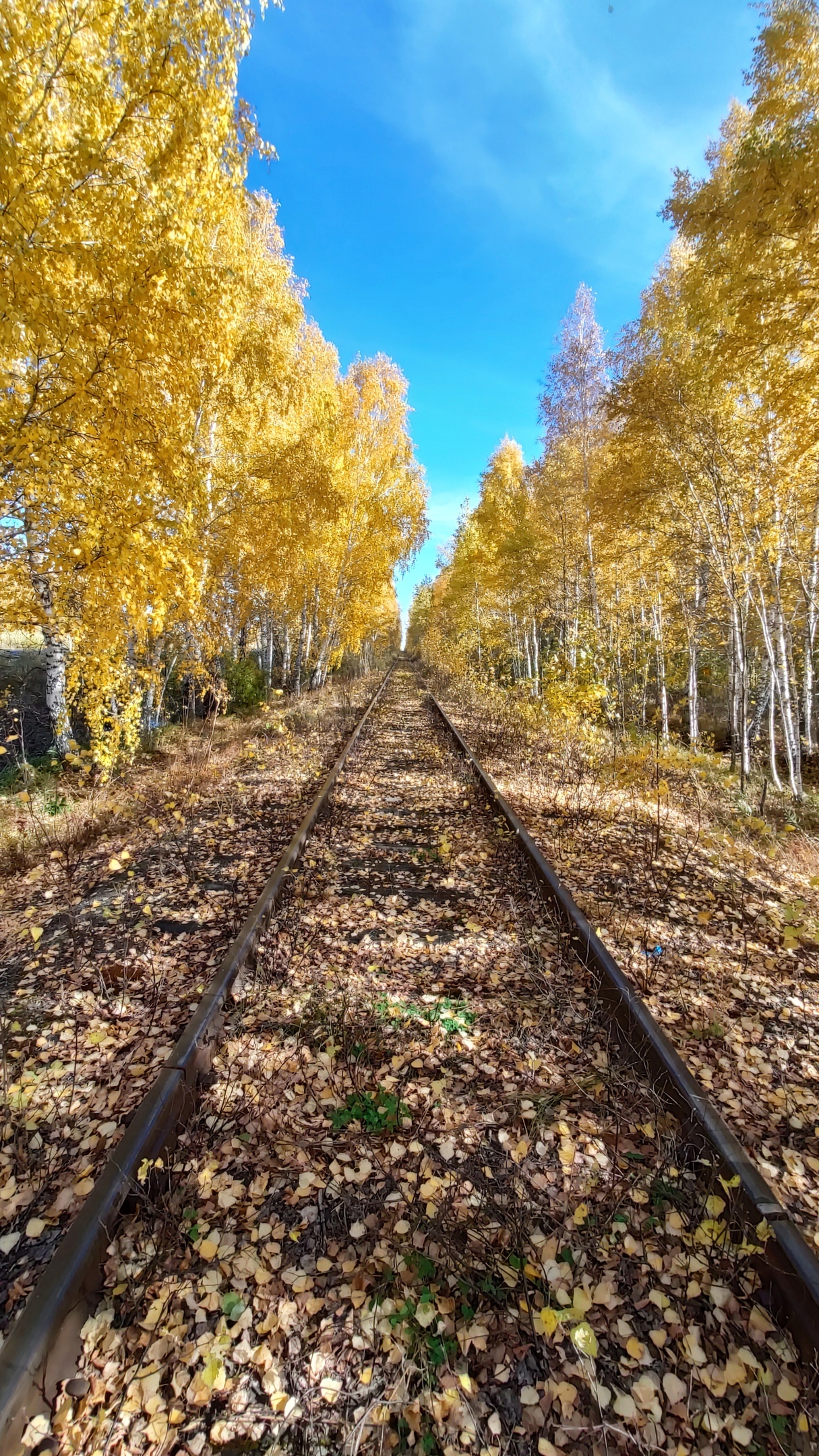 Осень - Осень, Железная Дорога, Фотография