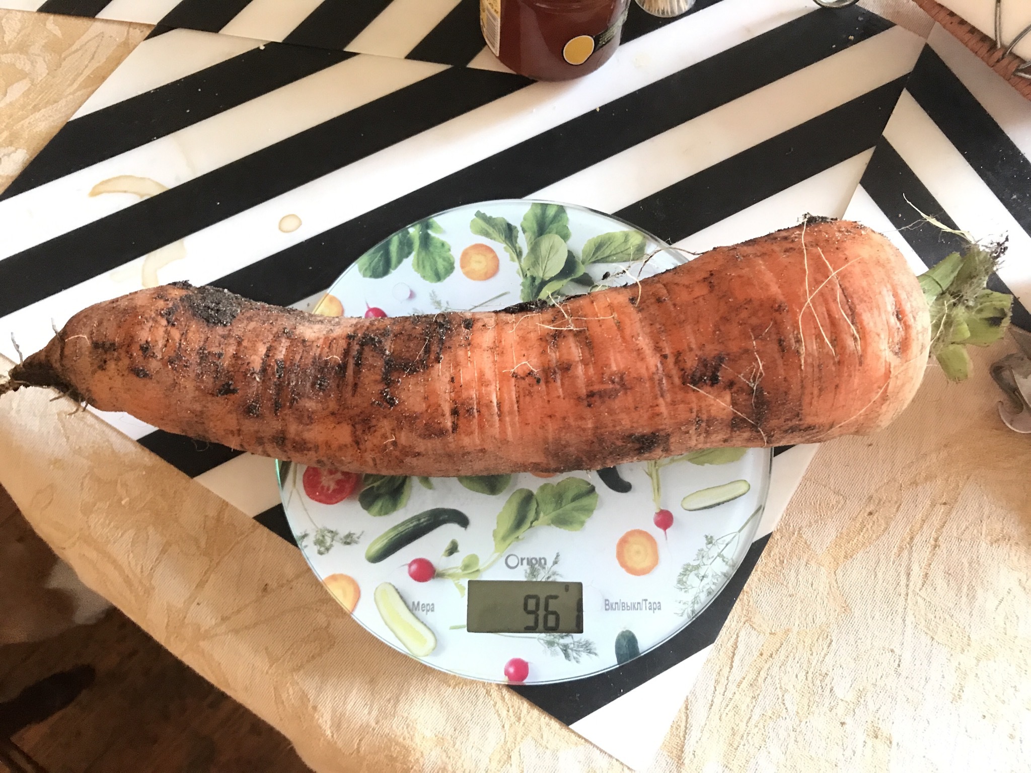 Carrots - My, Carrot, Harvest, Unusual, Longpost