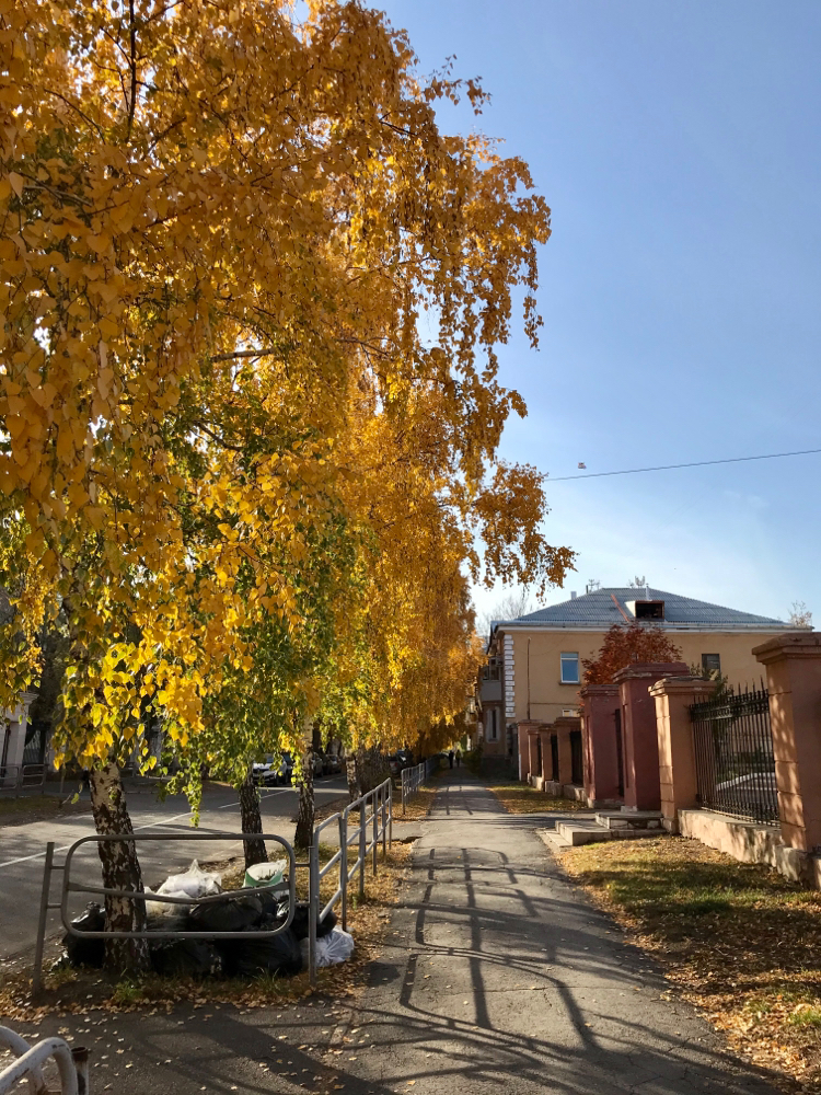 Sorry, couldn't resist - My, Longpost, Magnitogorsk, Autumn, The photo