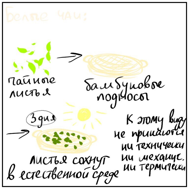 Чаю..? | Пикабу
