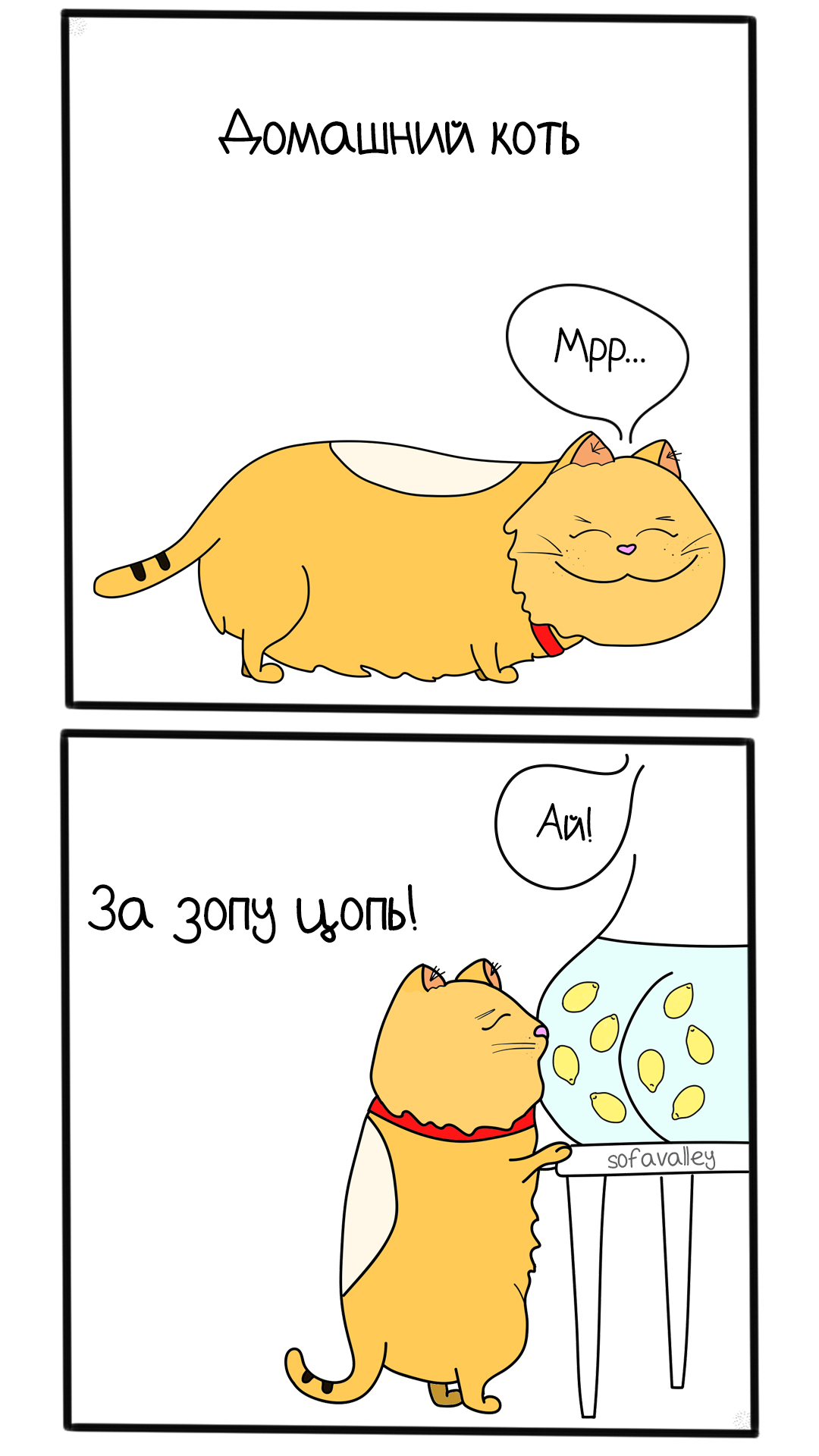 cat-tsop - My, cat, Catomafia, Comics, Web comic, Author's comic, Kus