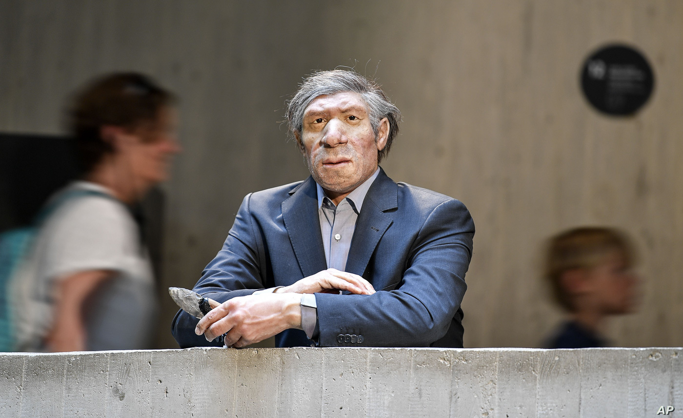 Neanderthals among us - Museum, Neanderthal, Archeology, Reconstruction, Story, Germany, Costume