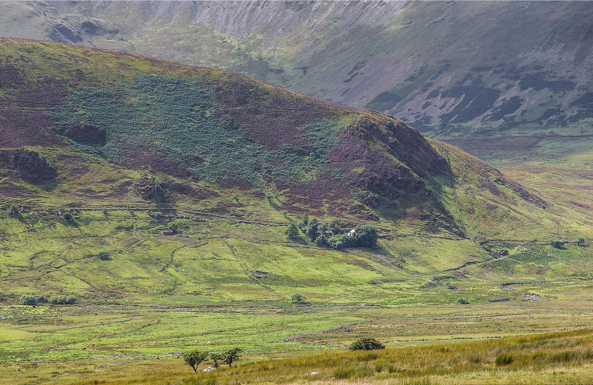 Snowdon Mountain Railway. - Railway, Gear rail, Mountain road, England, Longpost, Video